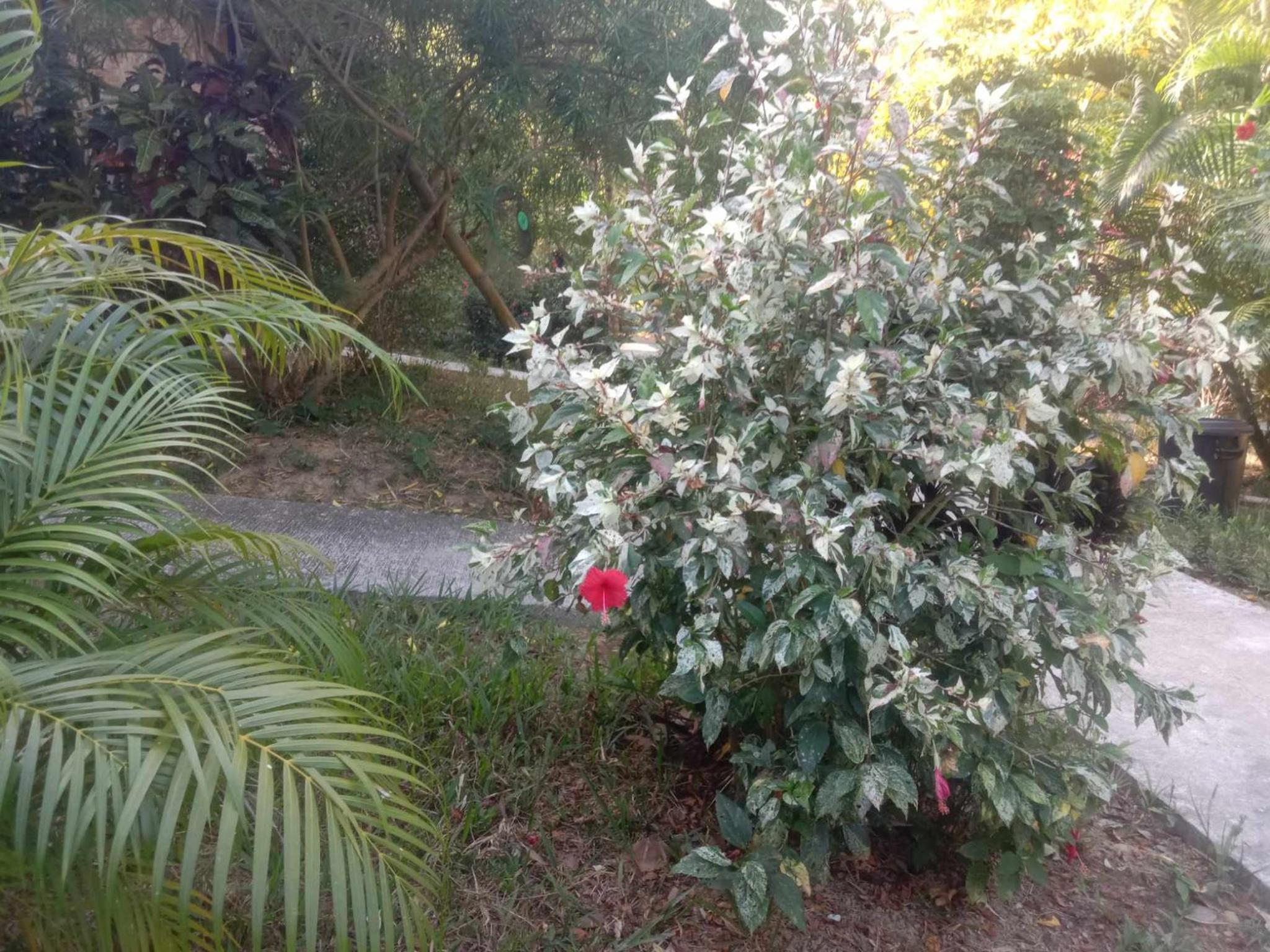 Photo 21