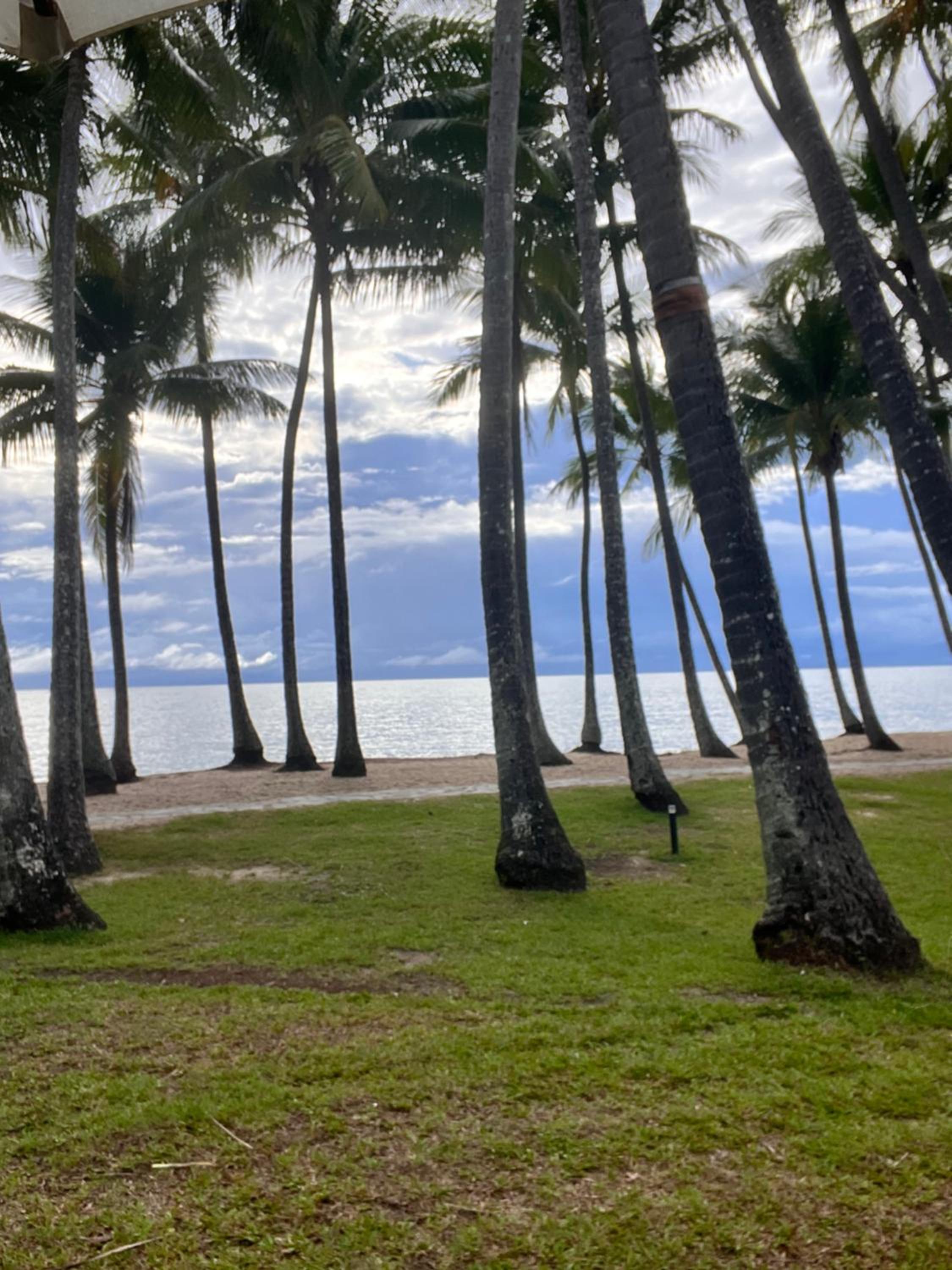 Tropical paradise