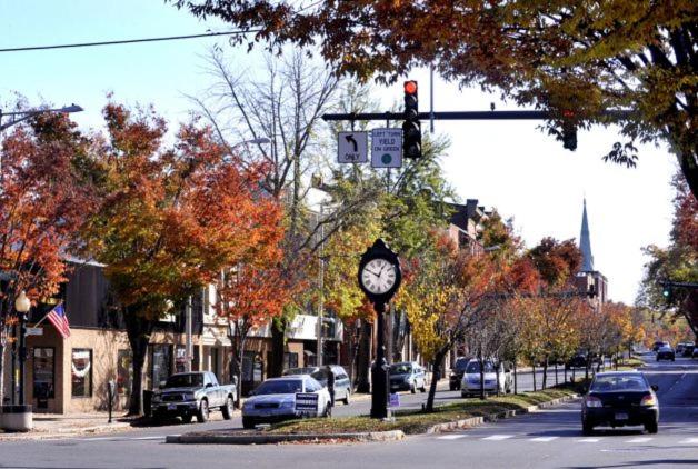 Danbury Vacations - Maron Hotel  Suites - Property Image 8