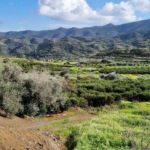 THE ROCK HOUSE - Beautiful countryside with mandarins oranges and olive trees,. Near Limassol at Eptagonia village.