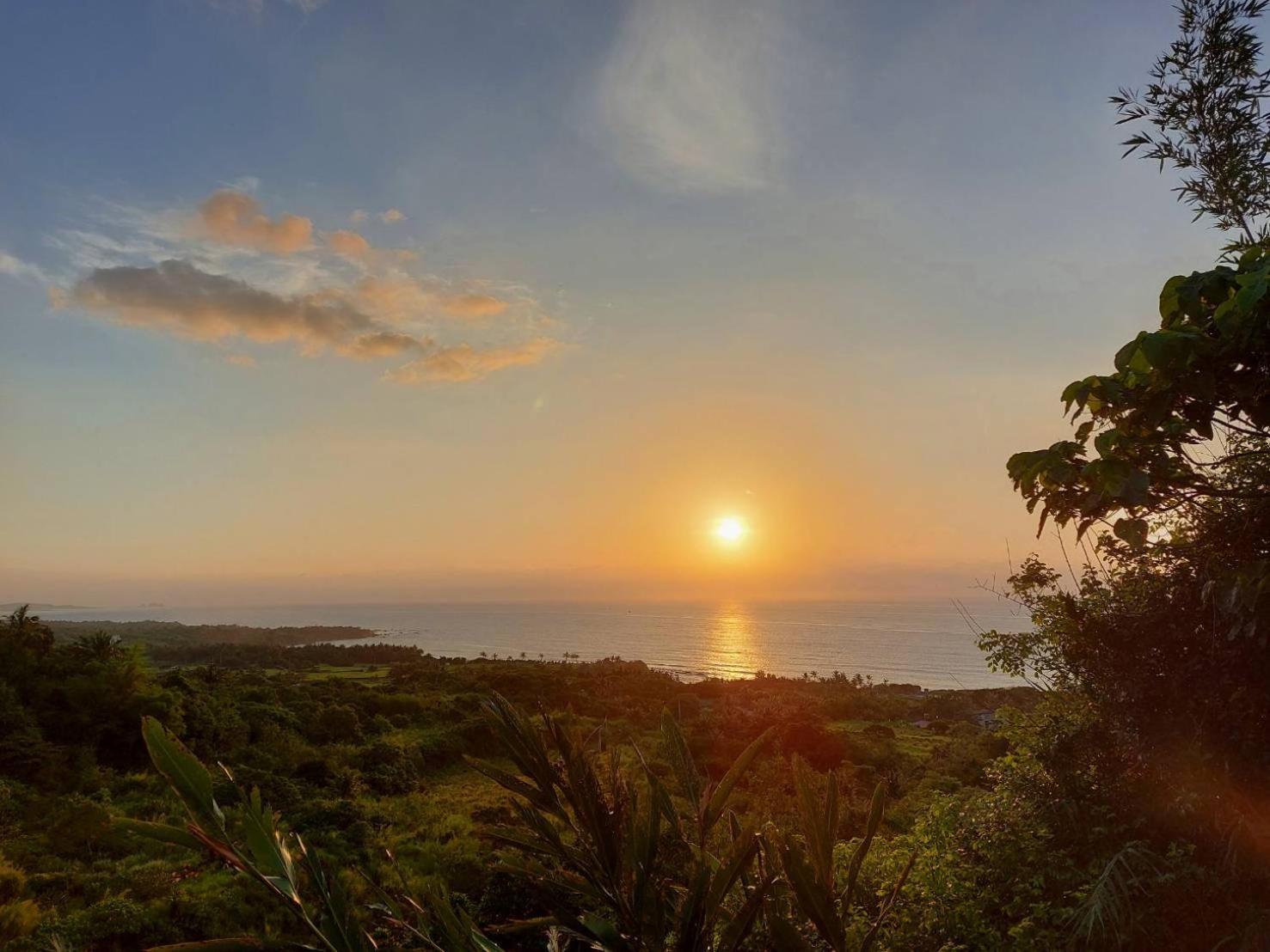 台東 奧麗雅安莊園 Chateau de olea view 2
