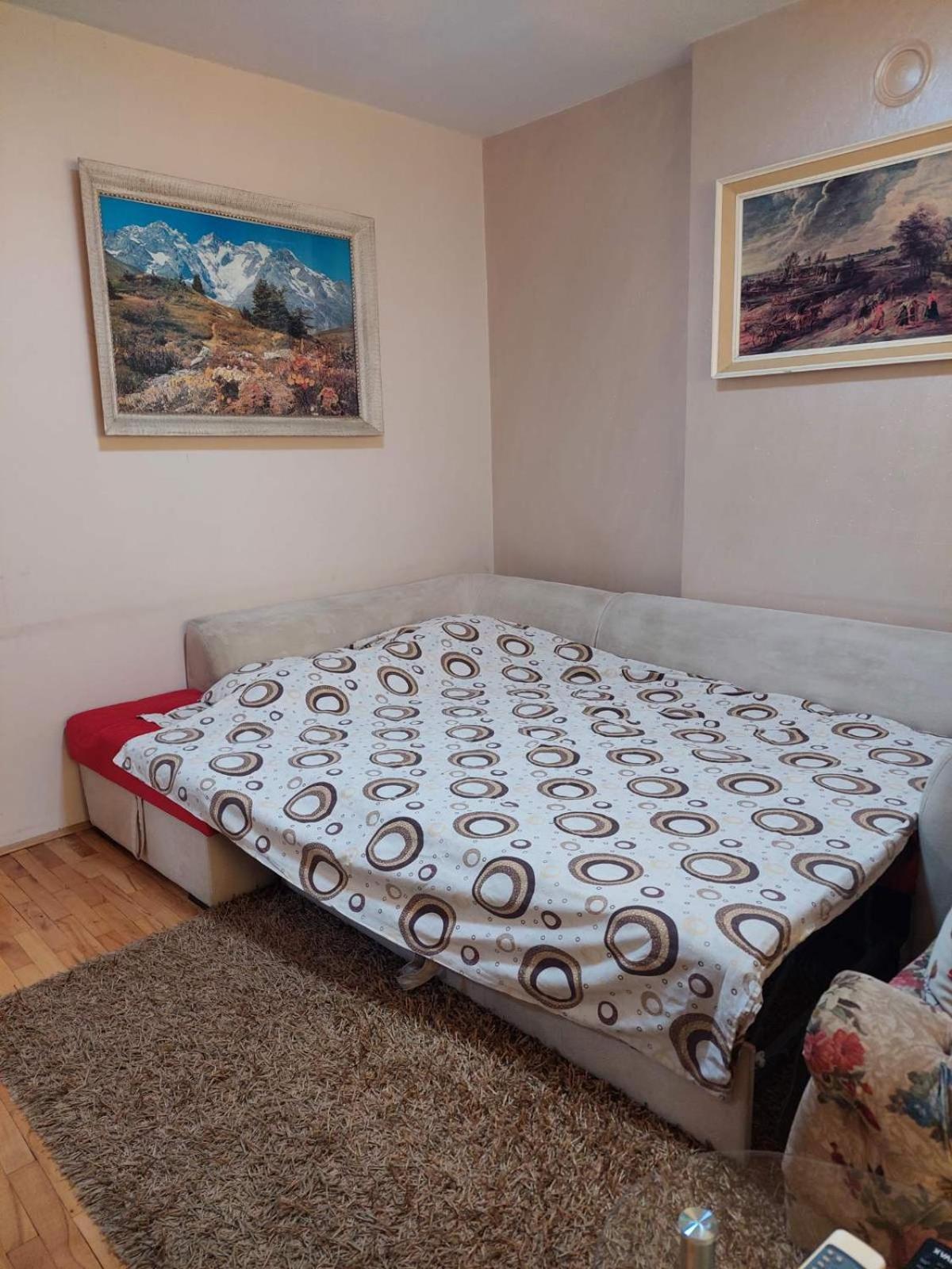 Apartment Vuk near Hilton hotel view 5