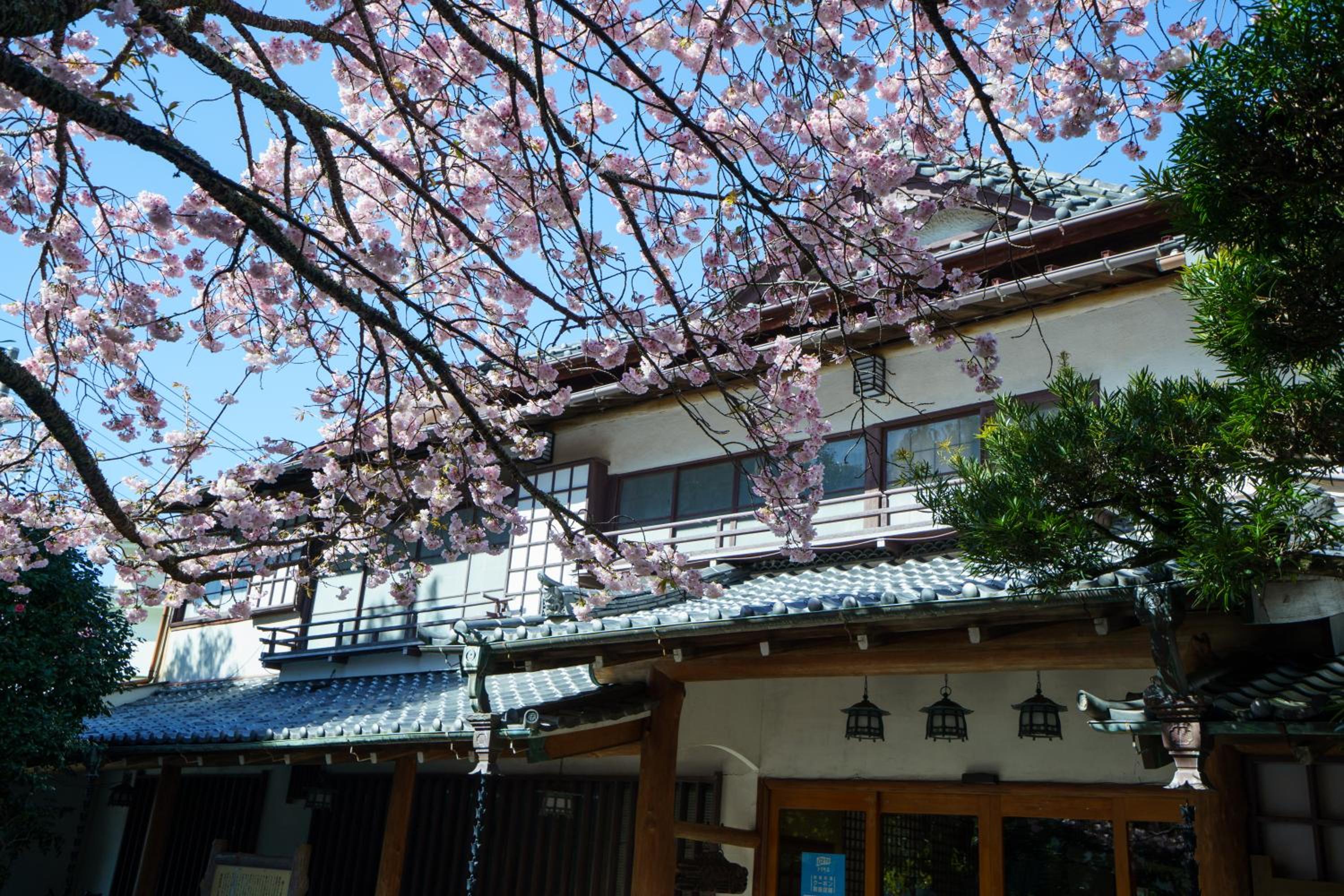 Sakahijiri gyokushoen