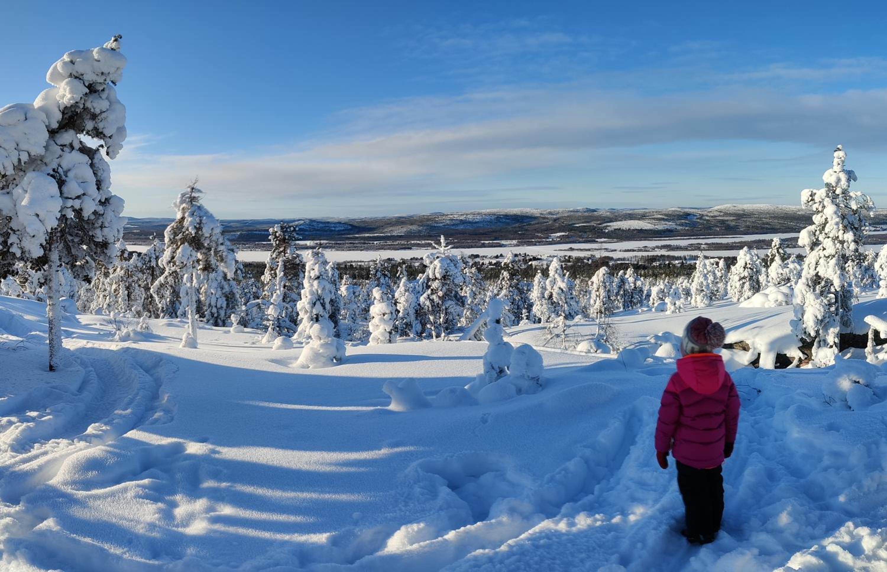 Mäki-mummola