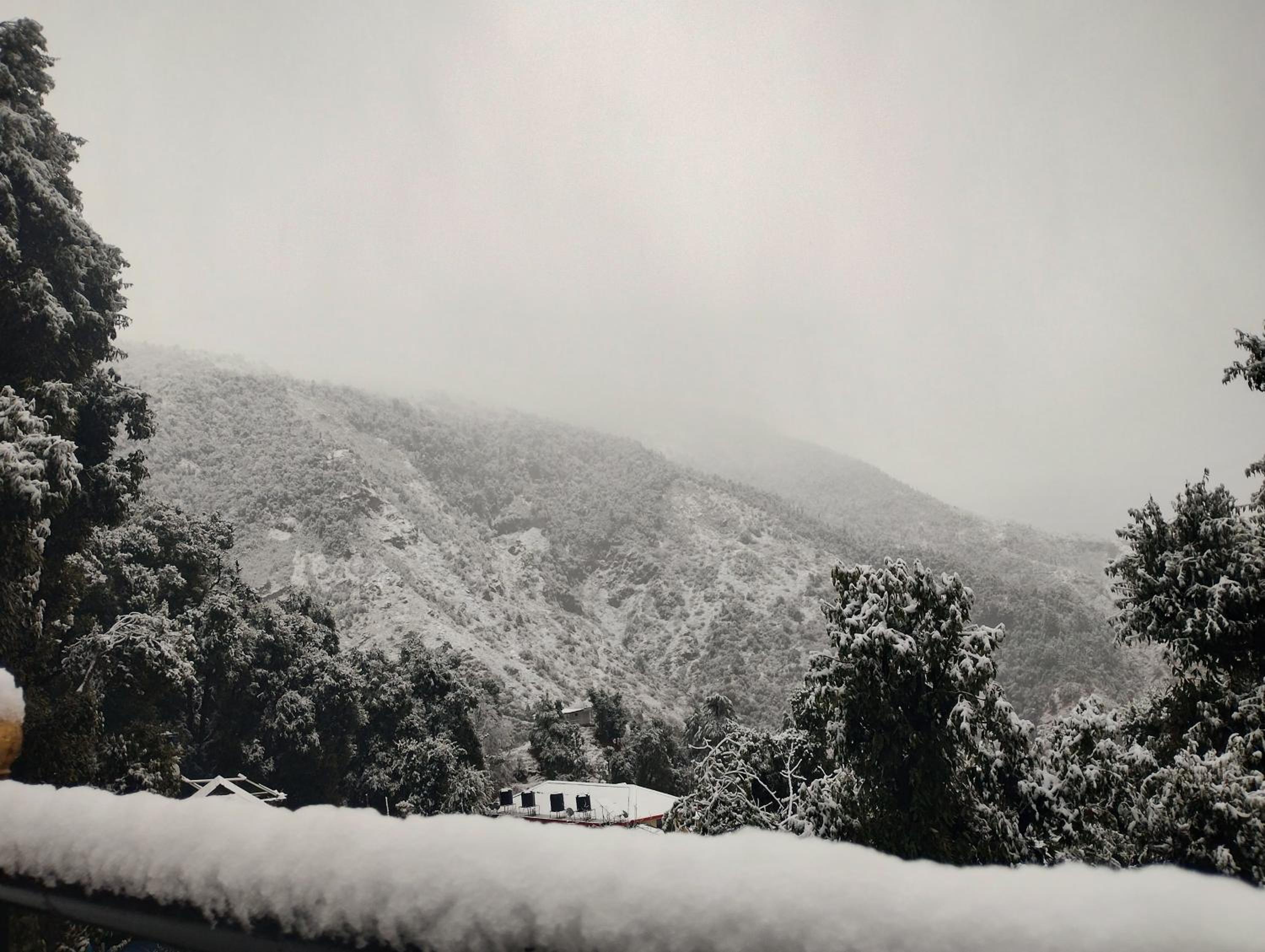 Bhagsu Villa view 4