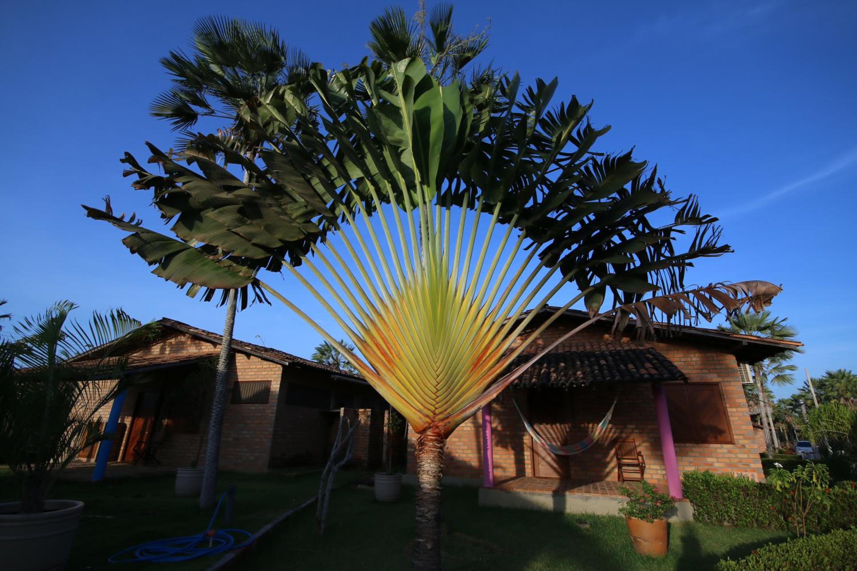 Porto Preguiças Resort