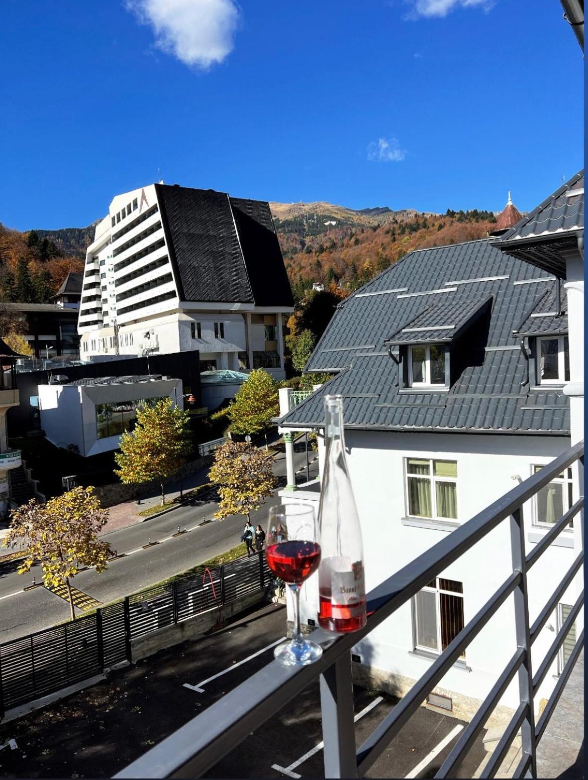 ANA Apartments Sinaia