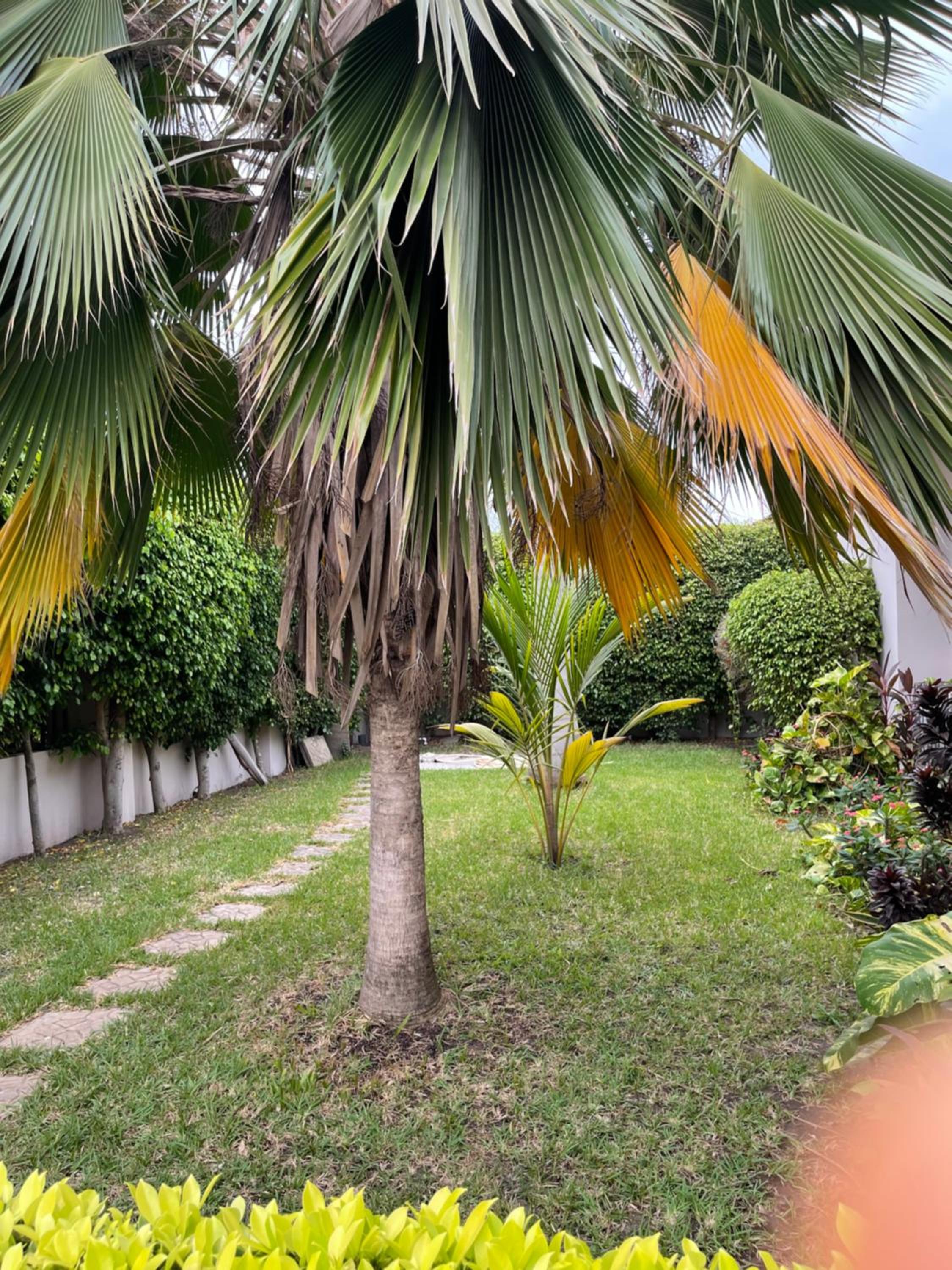 Beautiful Family Home at Emefs Lagoon View Estate Lashibi view 5