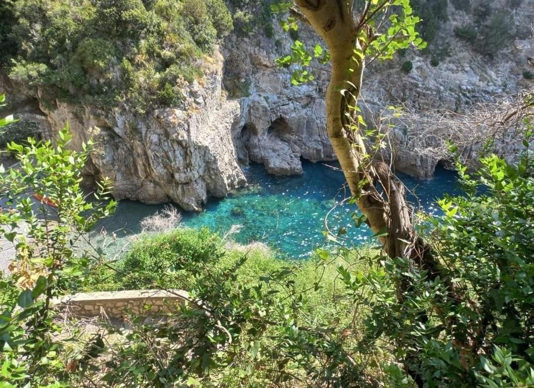 La Casina di Silvio photo 4