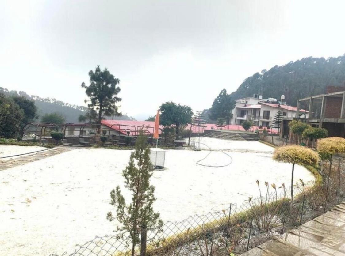 KAFAL TREE Home Stay - PET FRIENDLY