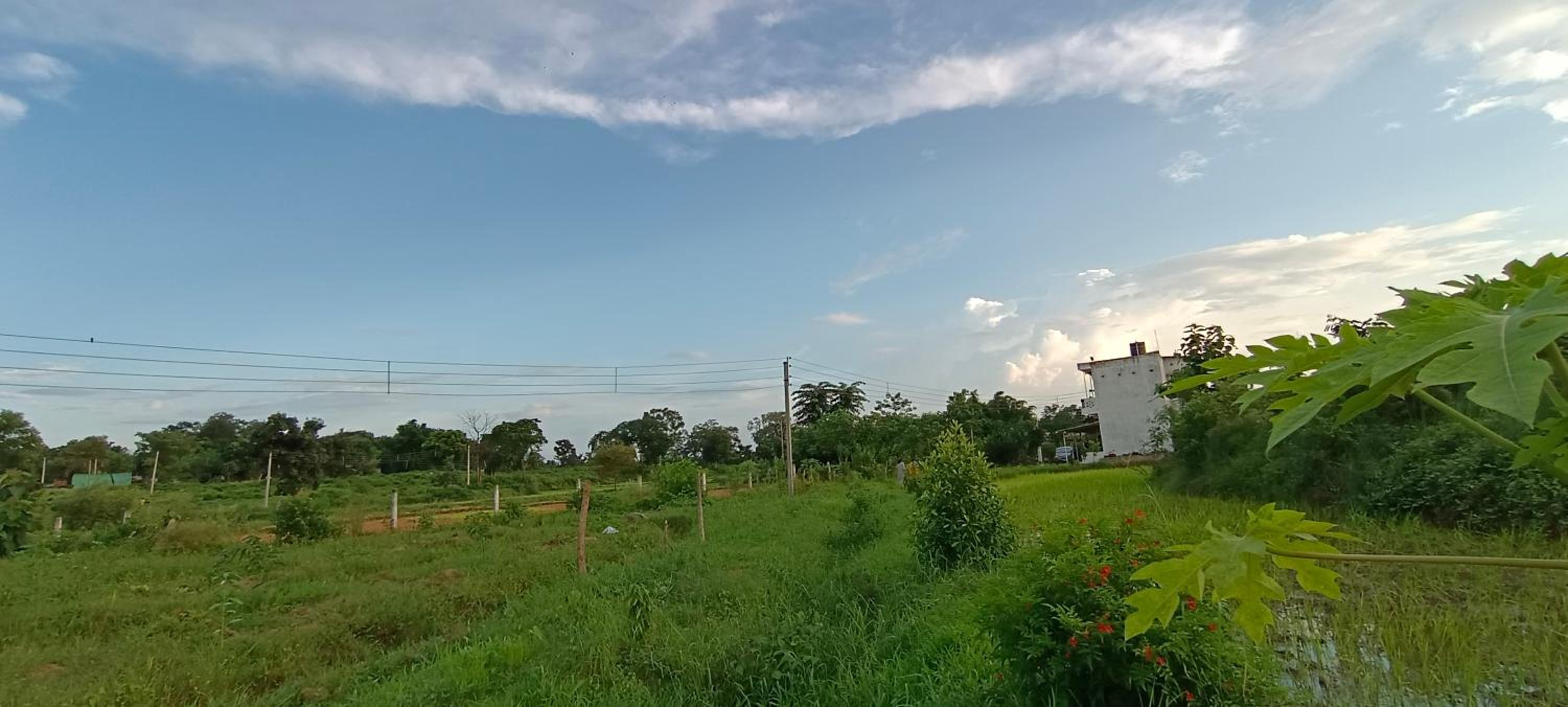 Subarna Farm House view 3