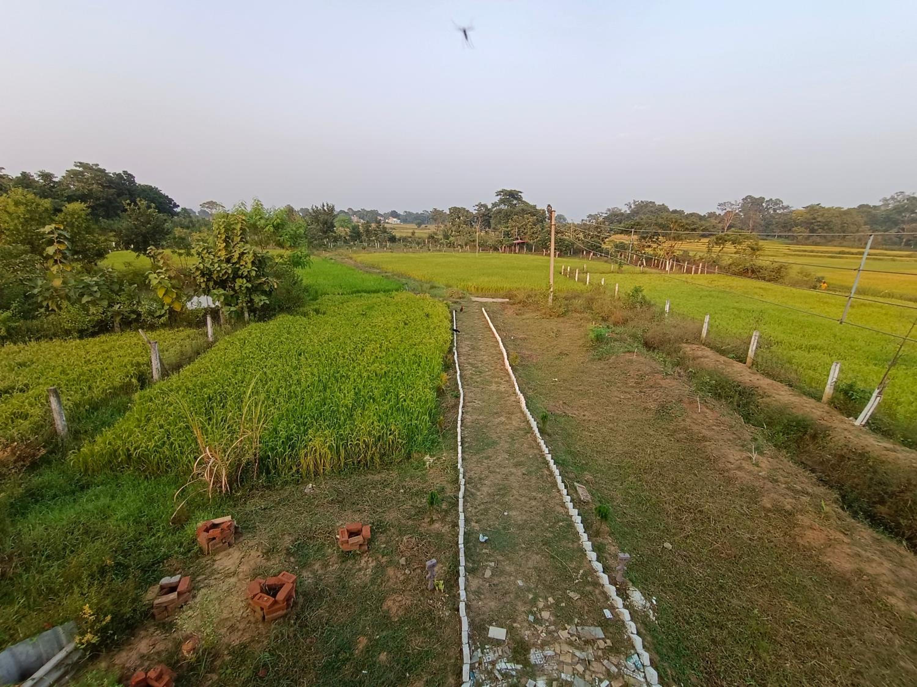 Subarna Farm House view 2