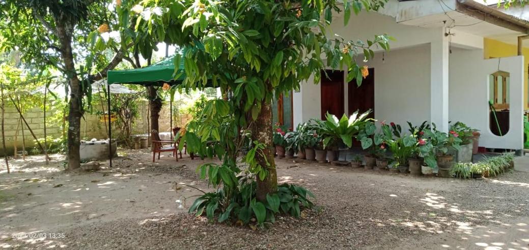 Diamond Home Stay view 4
