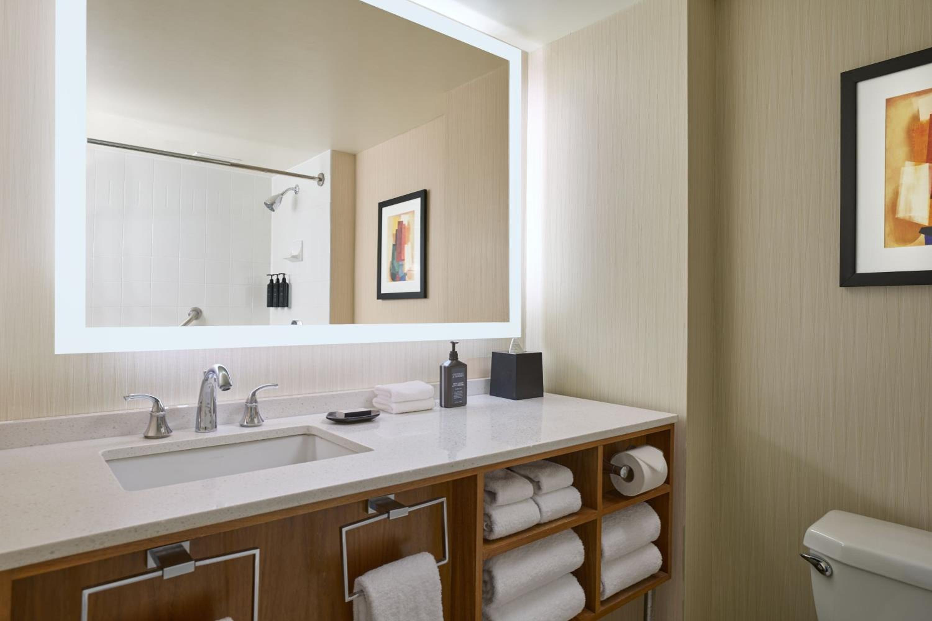 Chicago Vacations - Sheraton Grand Chicago Riverwalk - Property Image 39