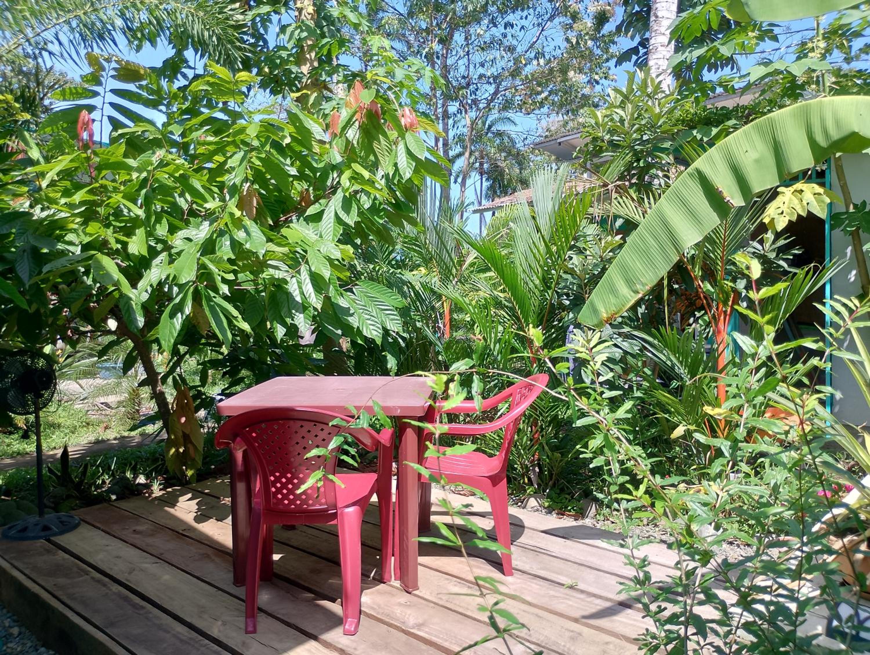 El Tucan Feliz - Boho Jungle Tiny Guest House & Mini Pool Oasis