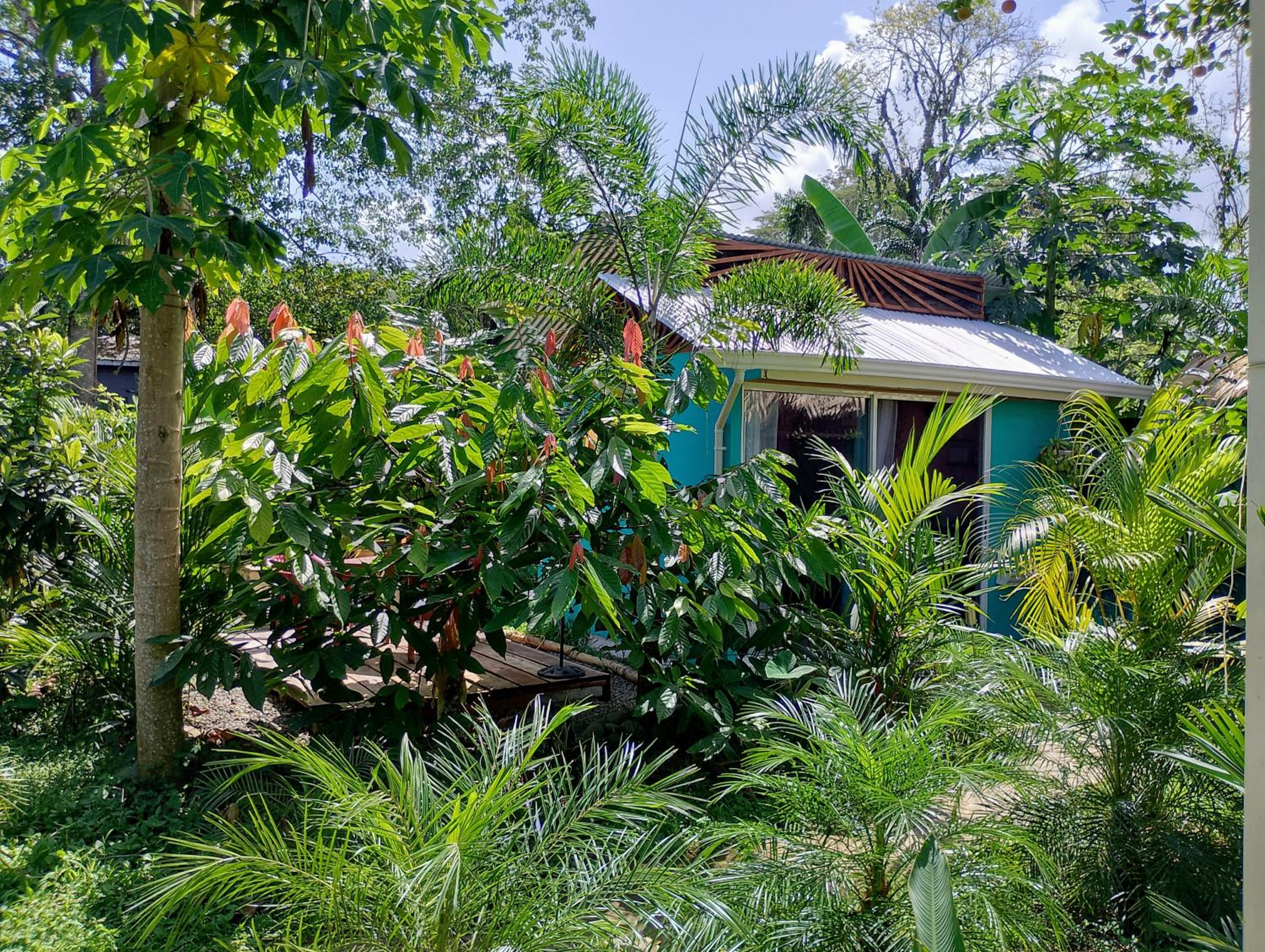 El Tucan Feliz - Boho Jungle Tiny Guest House & Mini Pool Oasis