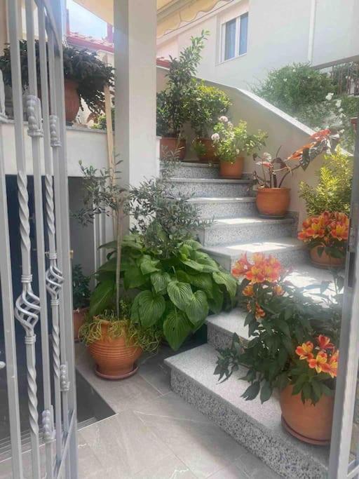 Lovely Apartment in Litoxoro