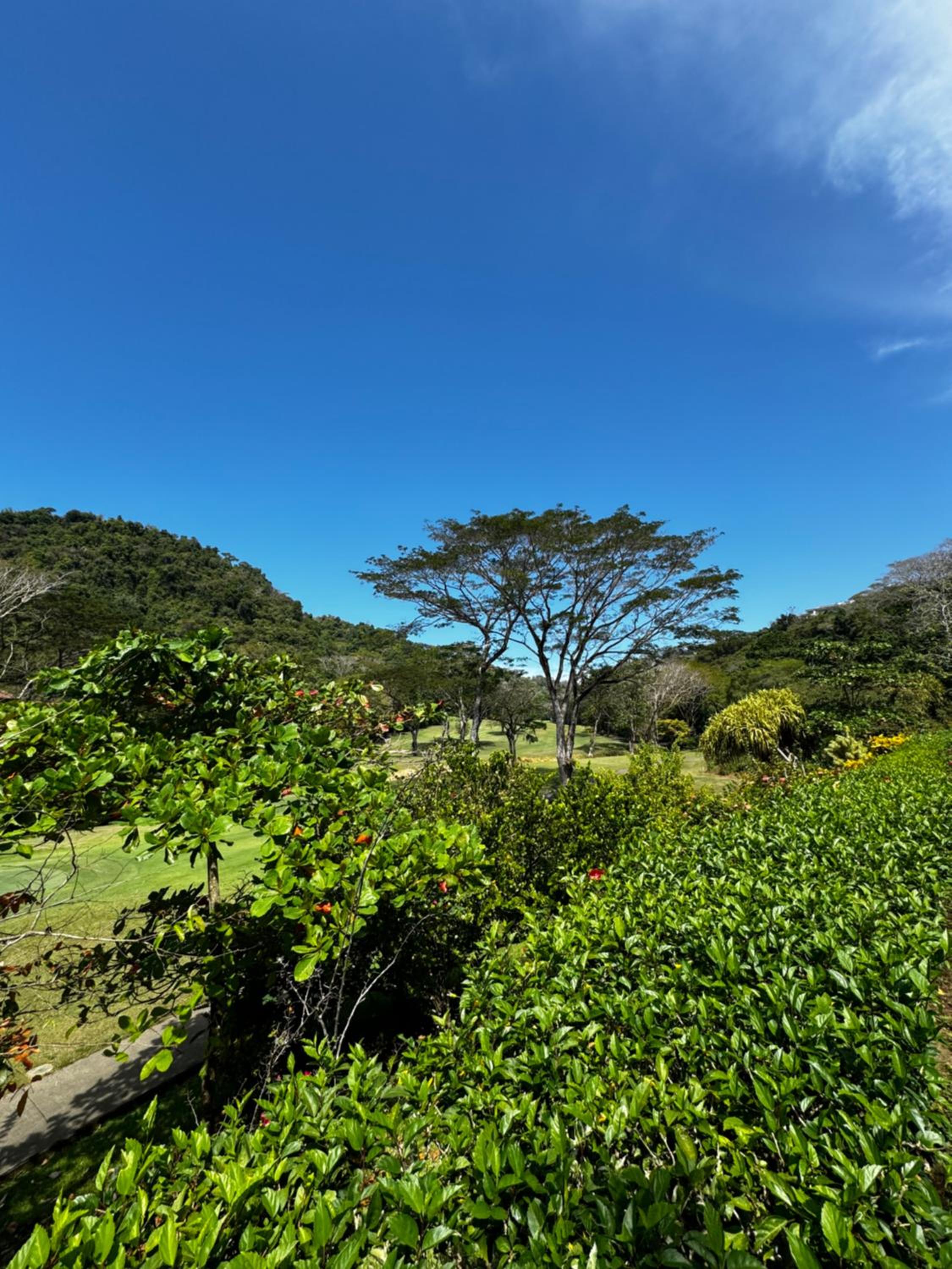 Luxury Condo at Los Sueños Resort & Marina