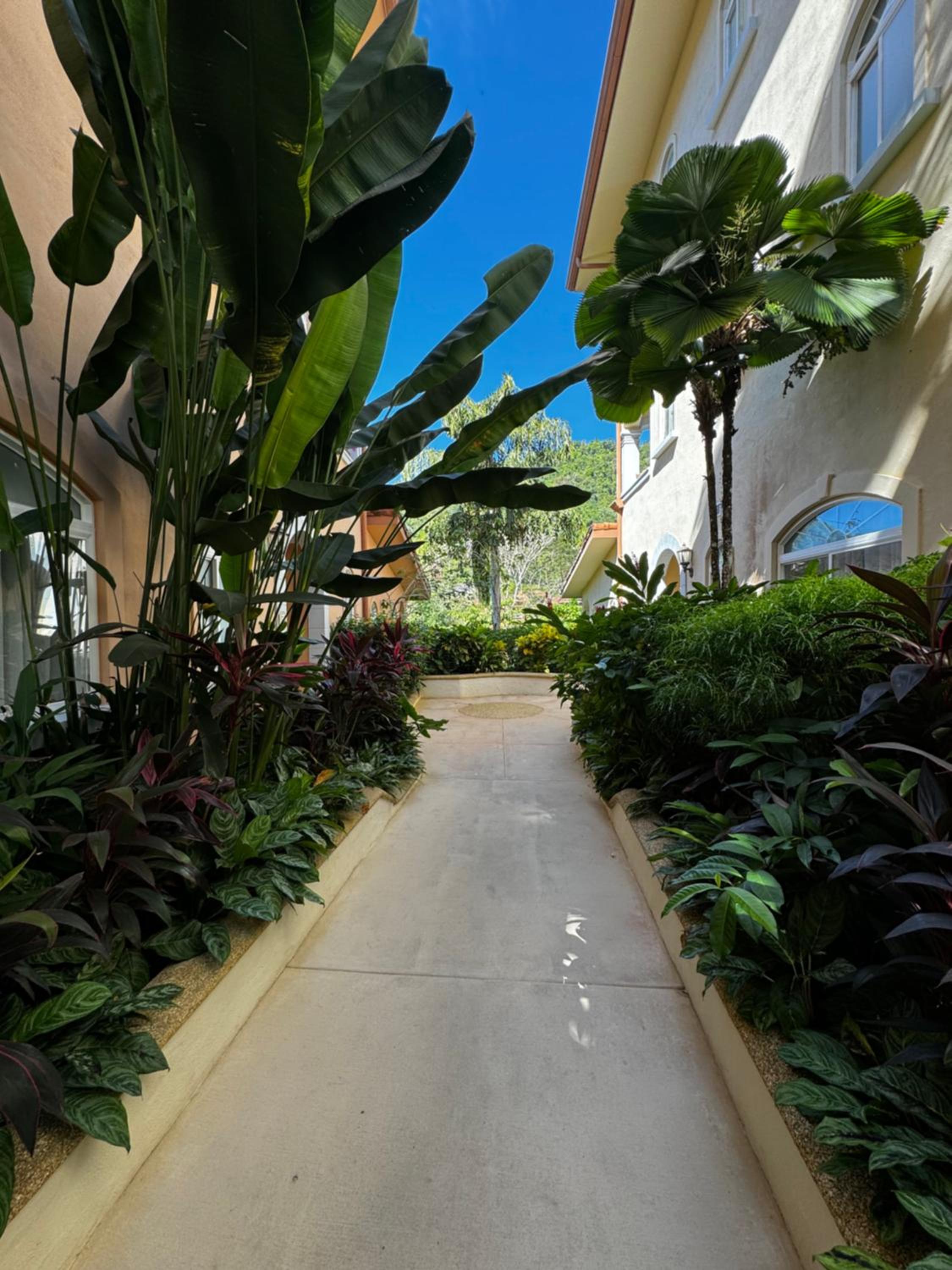 Luxury Condo at Los Sueños Resort & Marina