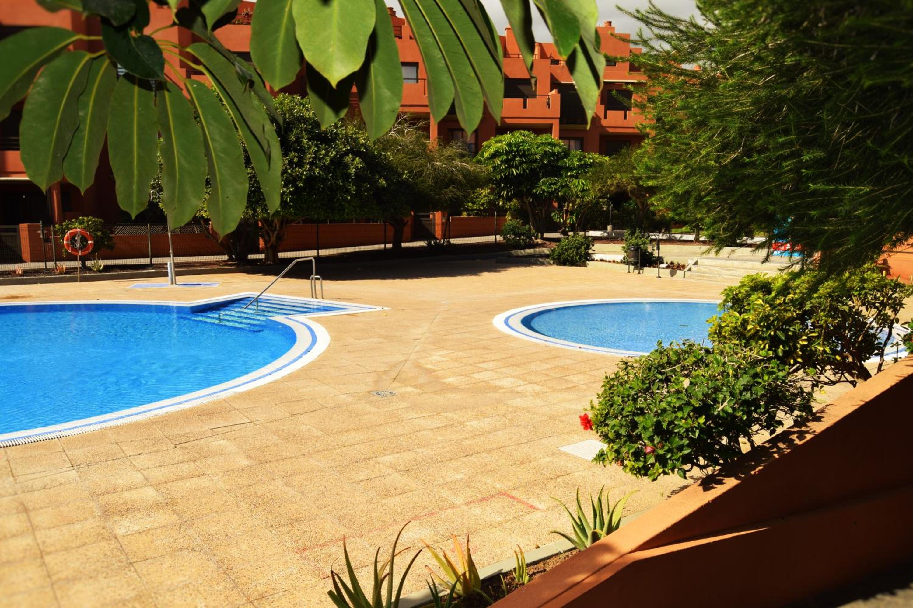 alquilaencanarias El Medano Sotavento, Great Terrace and beach view 5