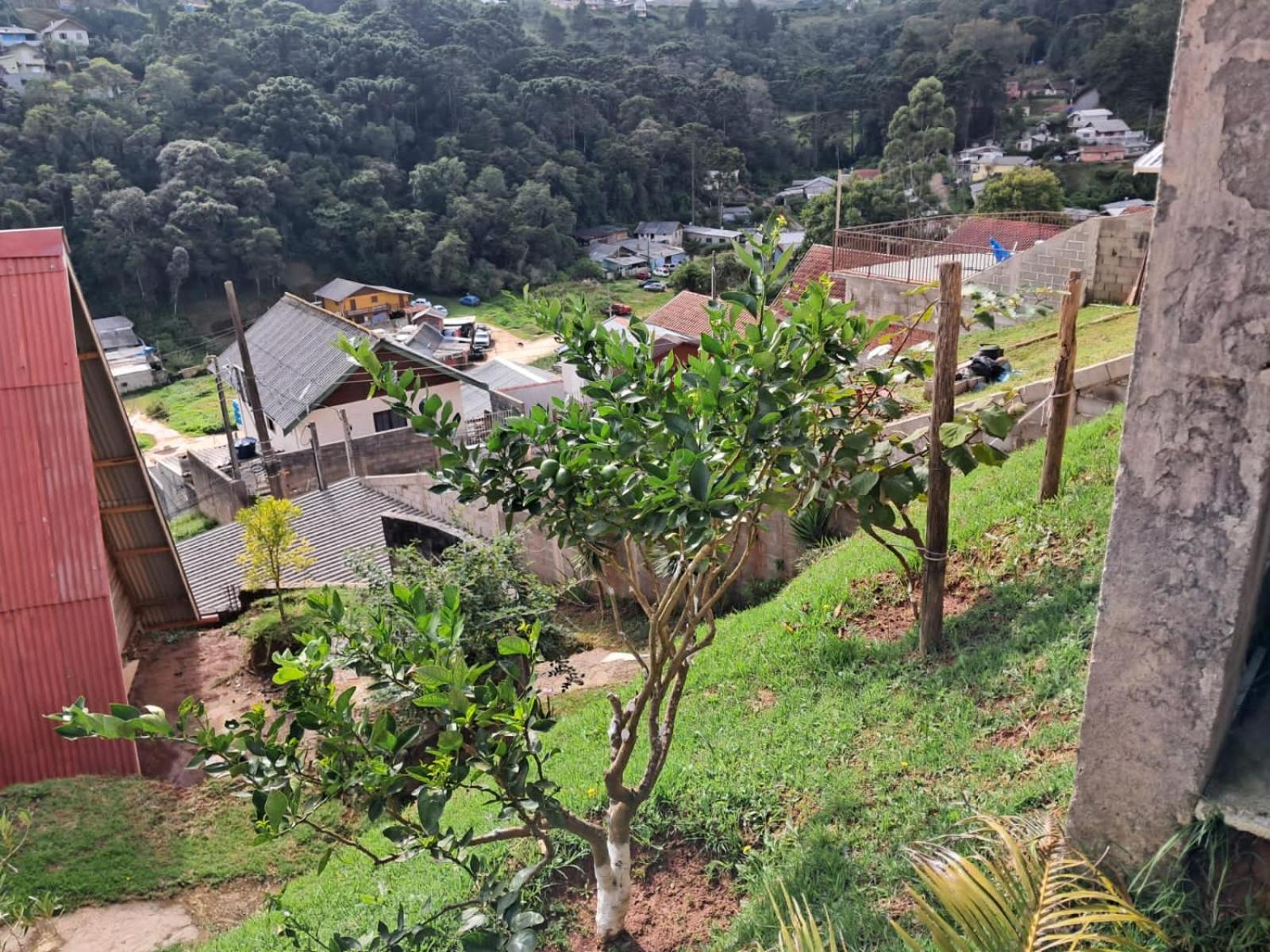 Casa de Boneca
