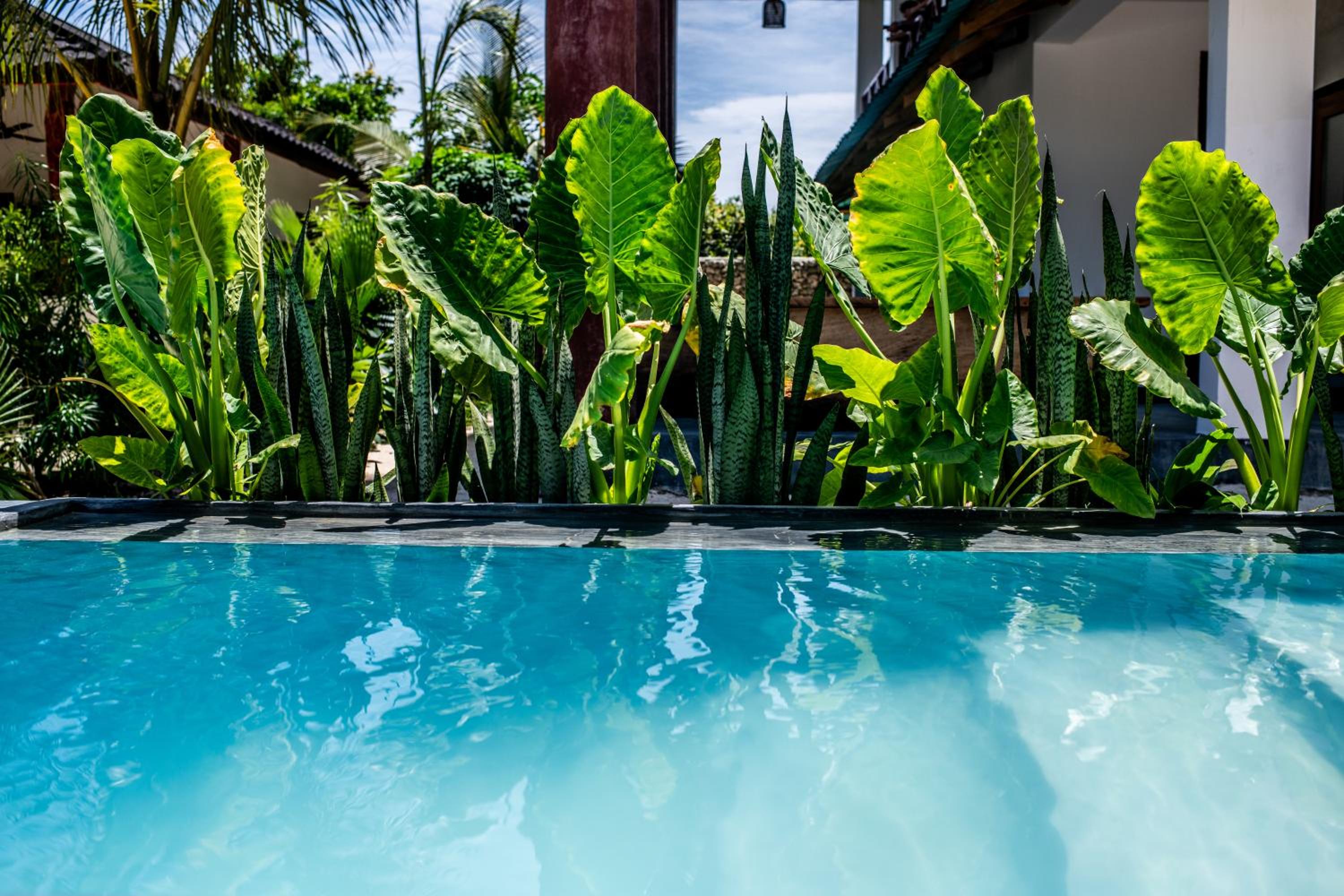 Baobab Bungalows