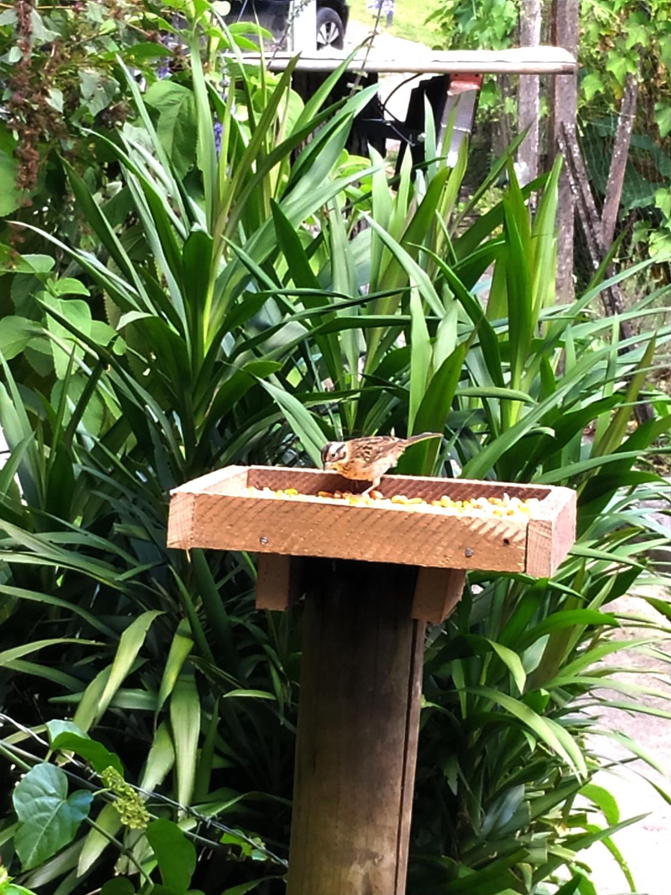 Photo 26