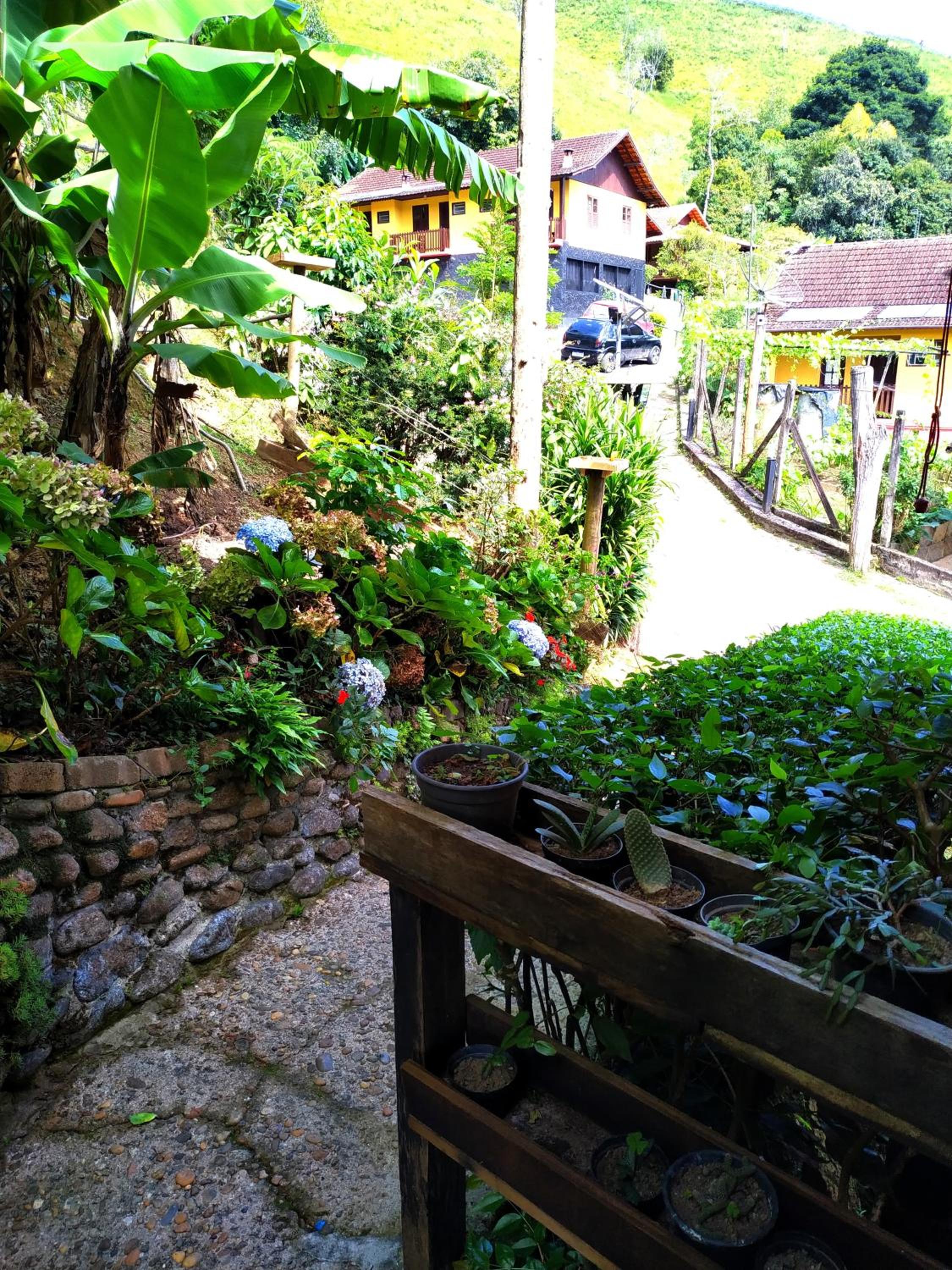 Photo 25