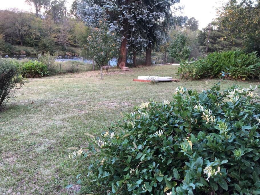 El Oasis: Complejo Dos Soles