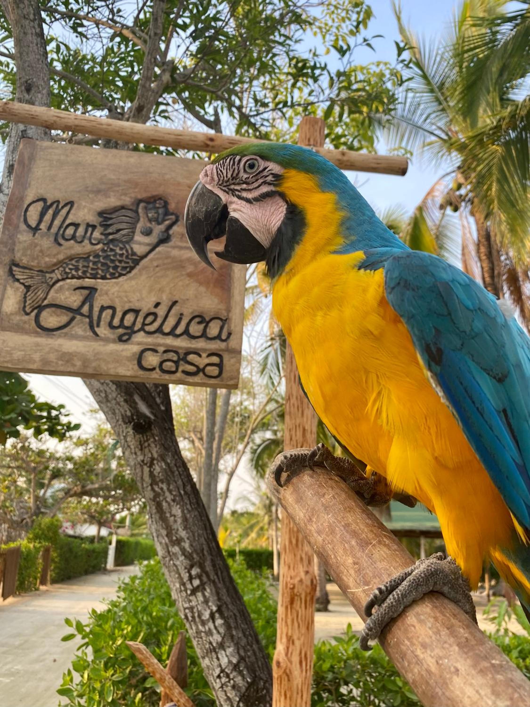 Cabaña CasaMar Angelica