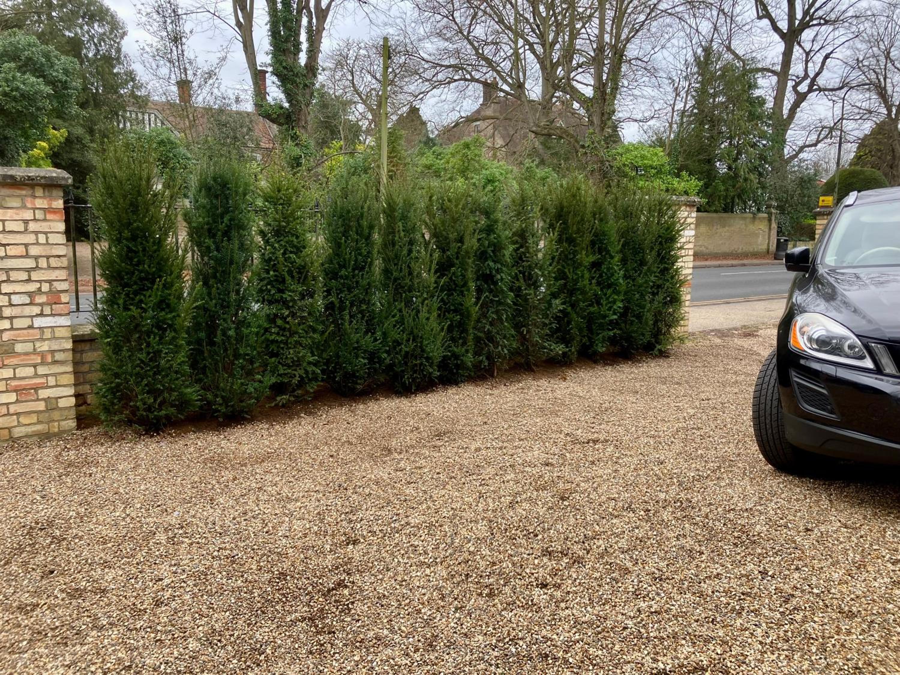 Yew Tree House, Bed & Breakfast in Colchester