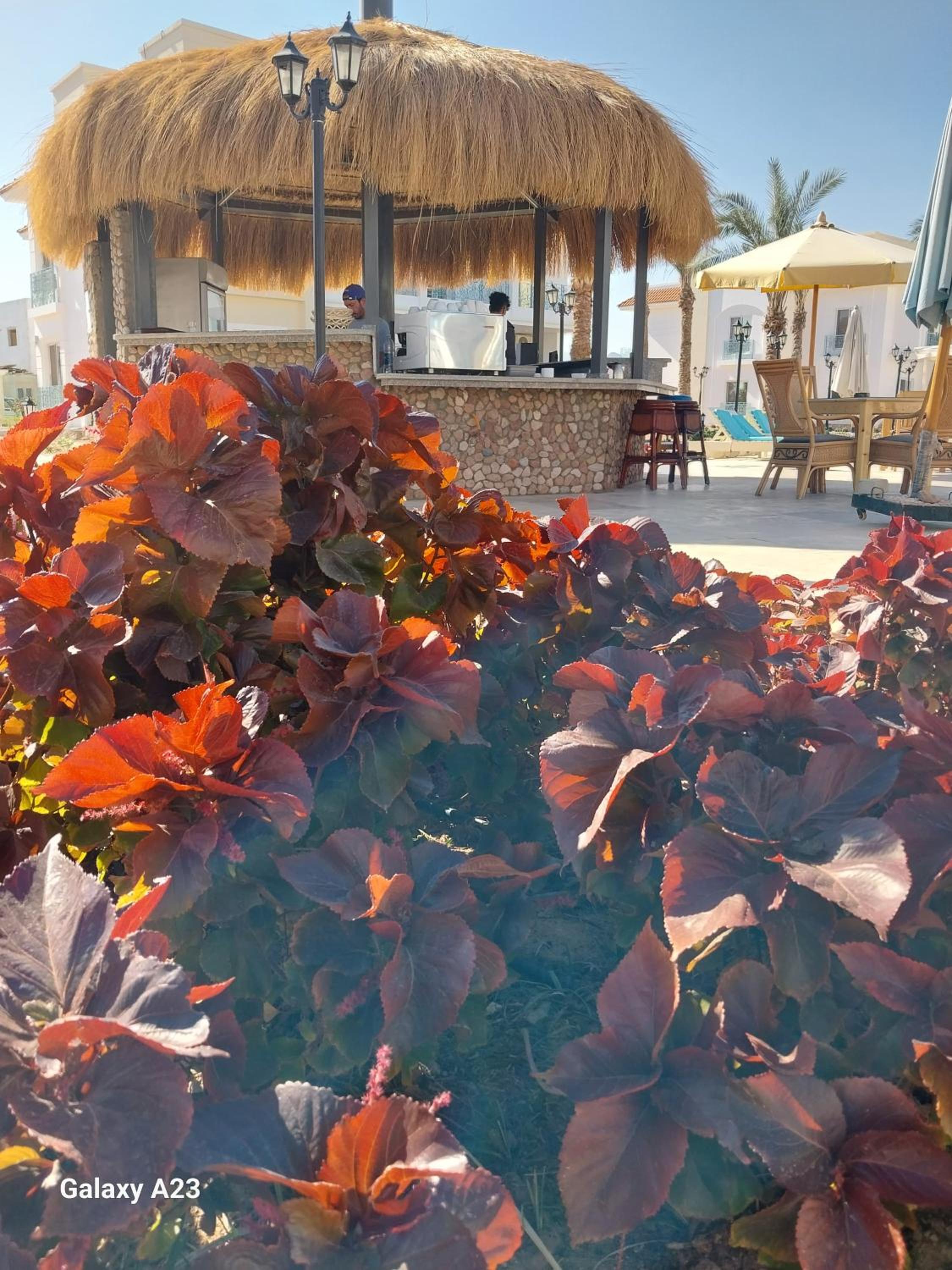 Blue Residence Dahab