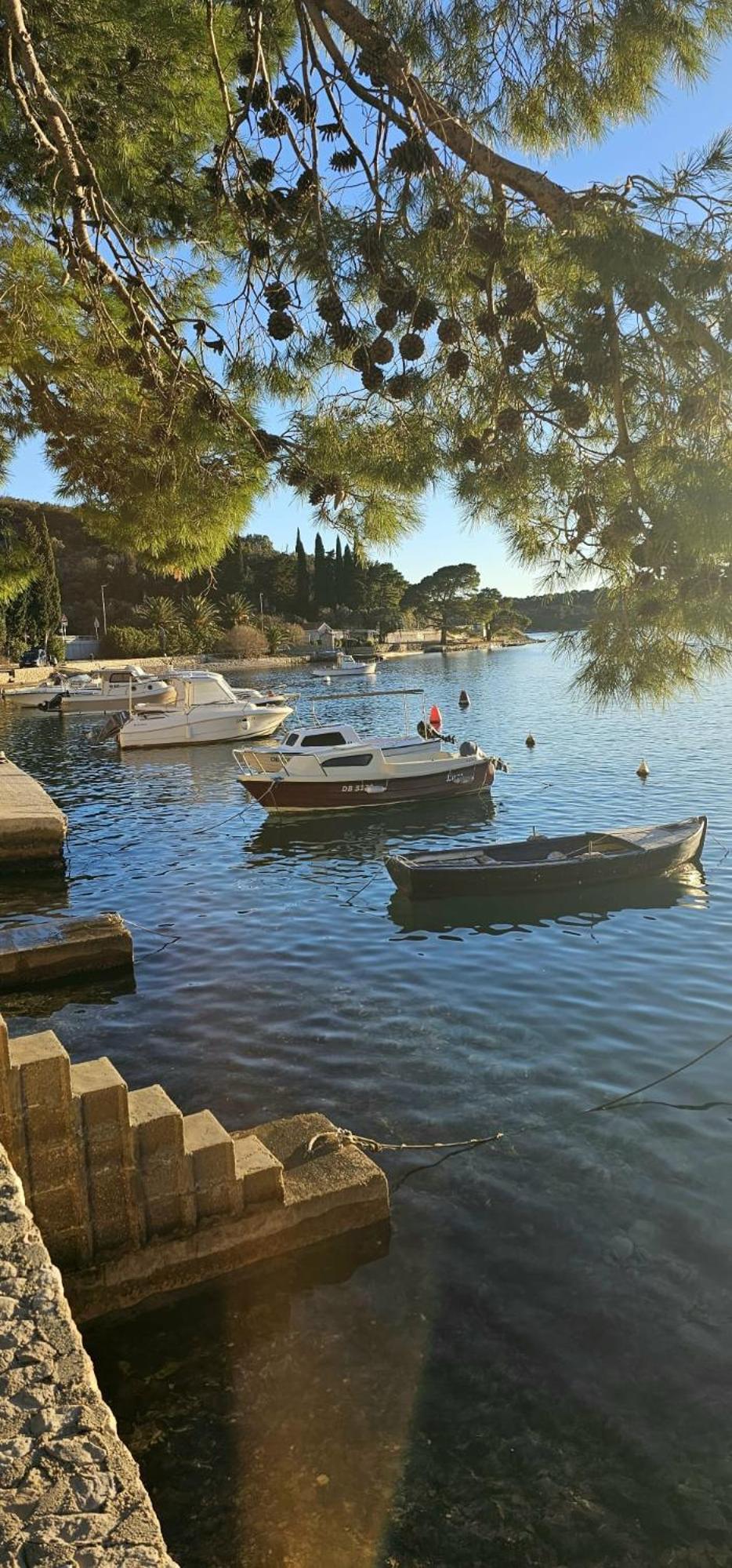 Seaview Apartment with Free Garage Parking 2 min to Beach Zaton near Dubrovnik