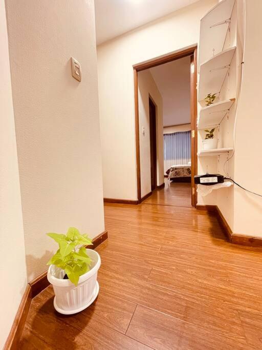 El Molle cálido Apartamento en la mejor zona