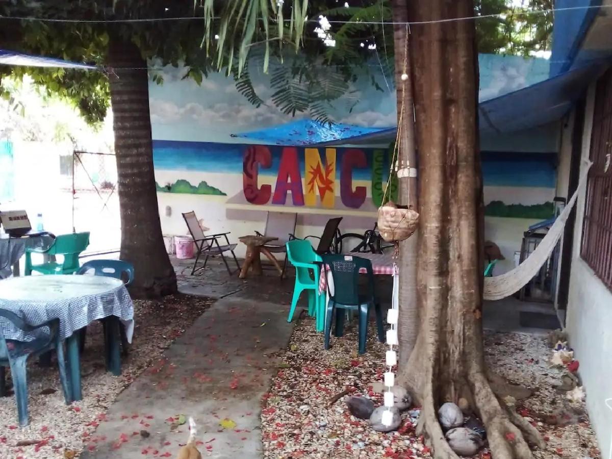 BALAGAN PLANTA ALTA