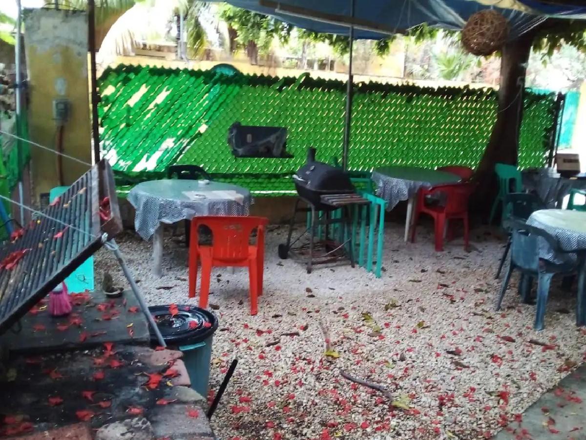 BALAGAN PLANTA ALTA
