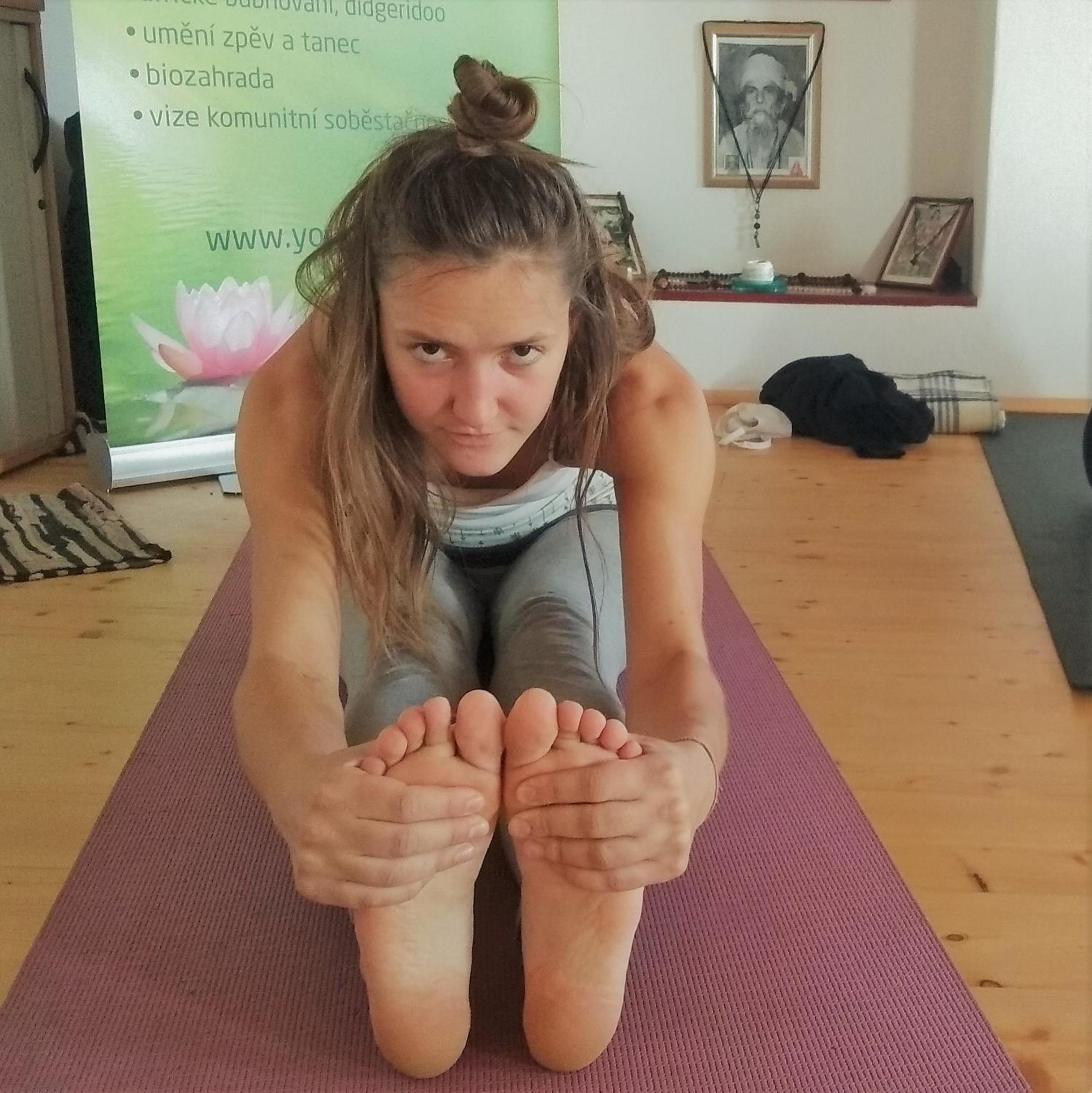 Yogashrama traditional