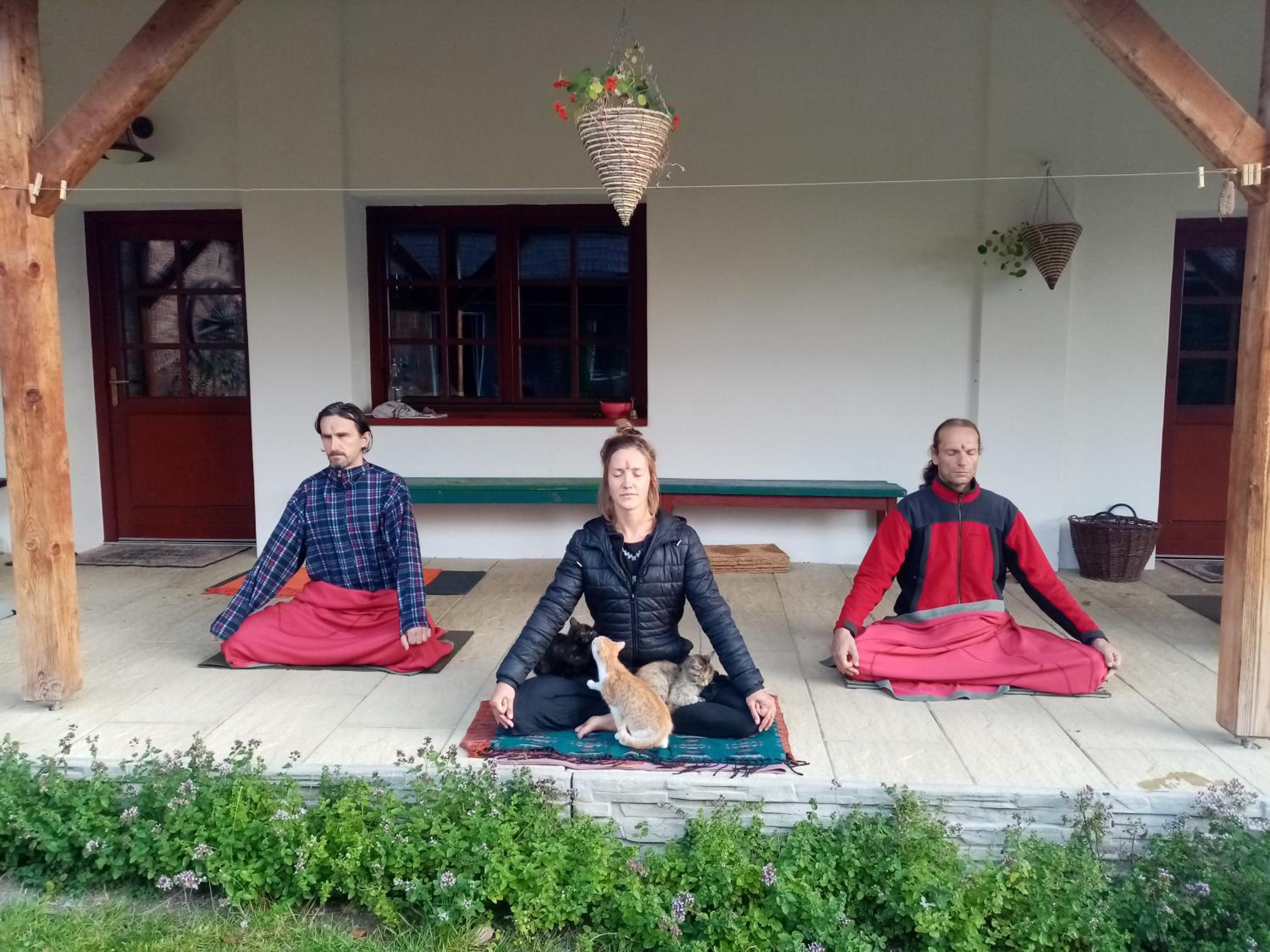 Yogashrama traditional