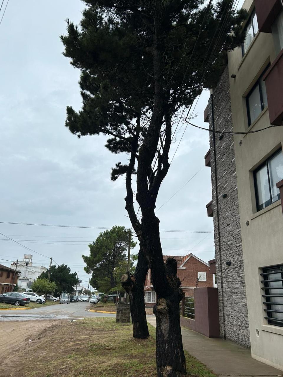 Complejo Médanos