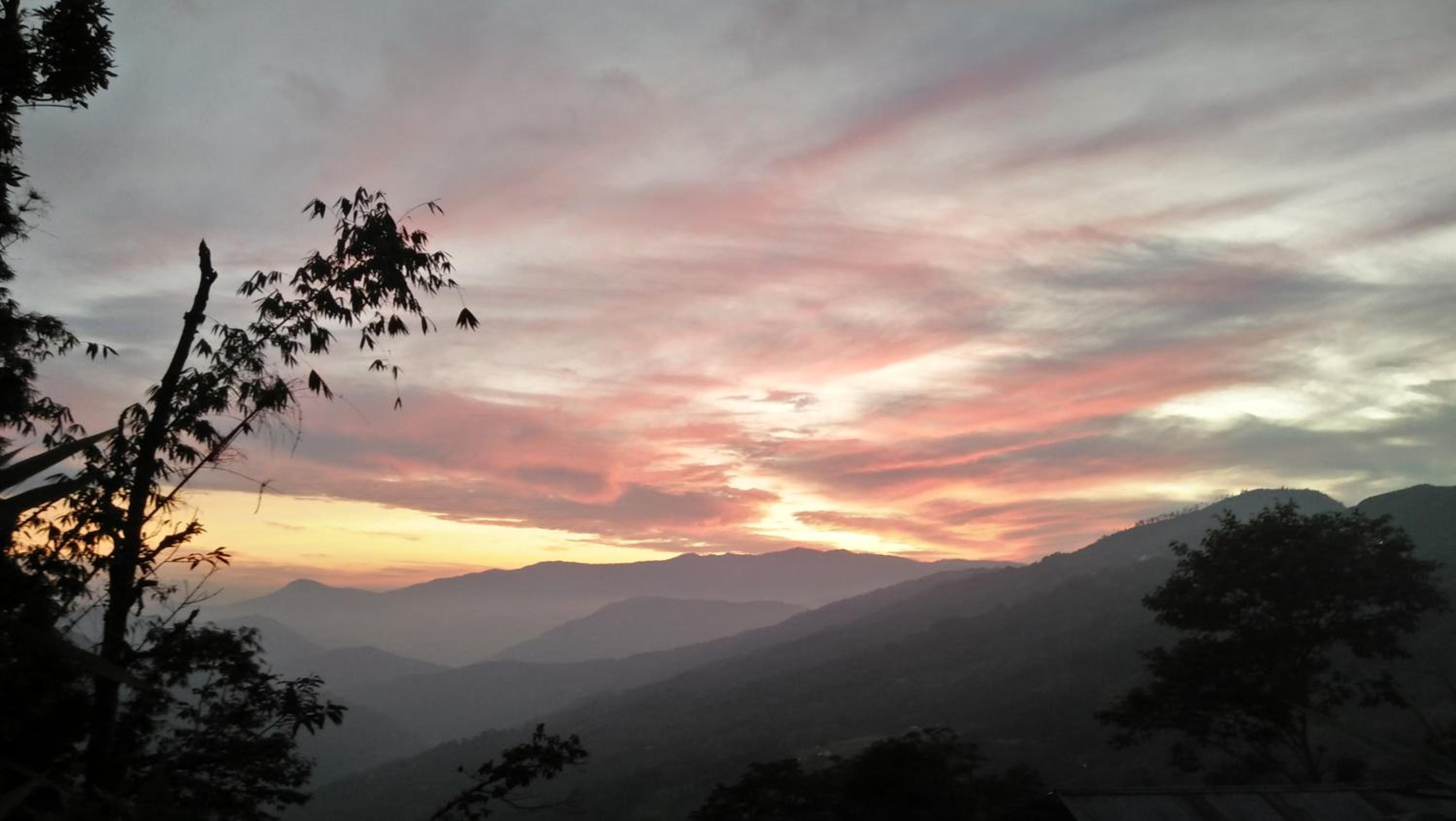 Kalimpong Paruhang farmhouse