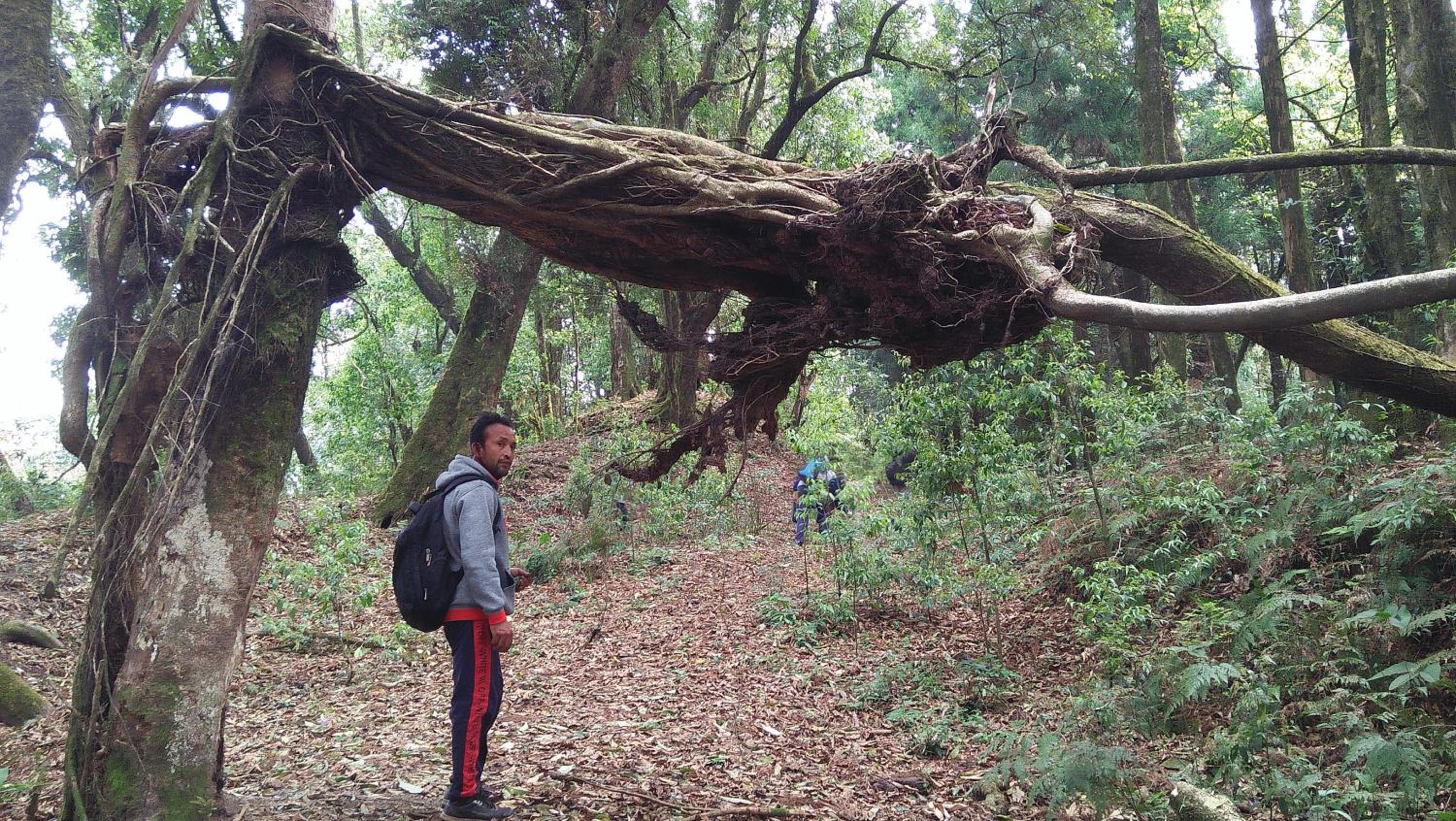 Kalimpong Paruhang farmhouse