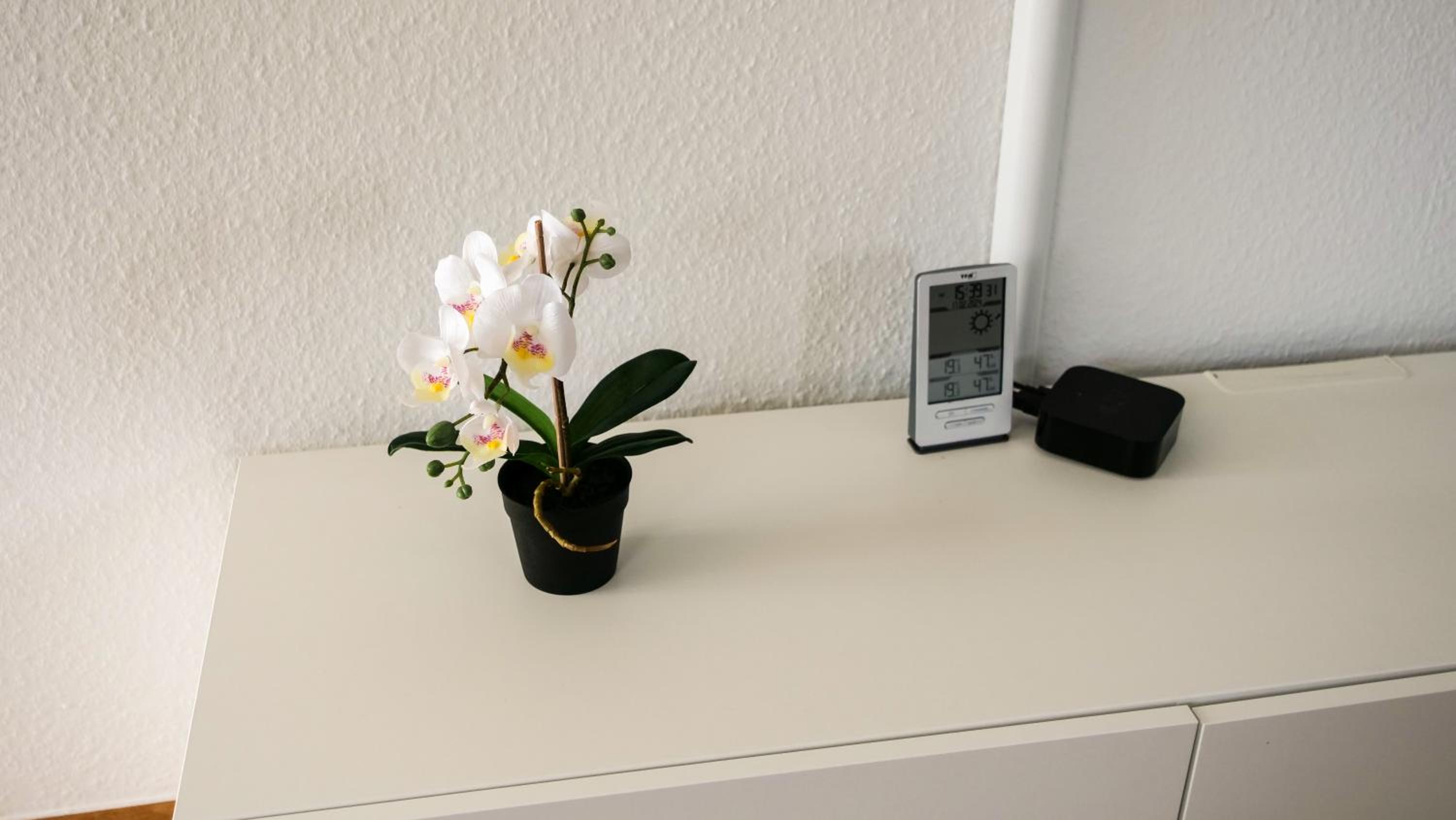 Ferienwohnung Rhein-Panorama