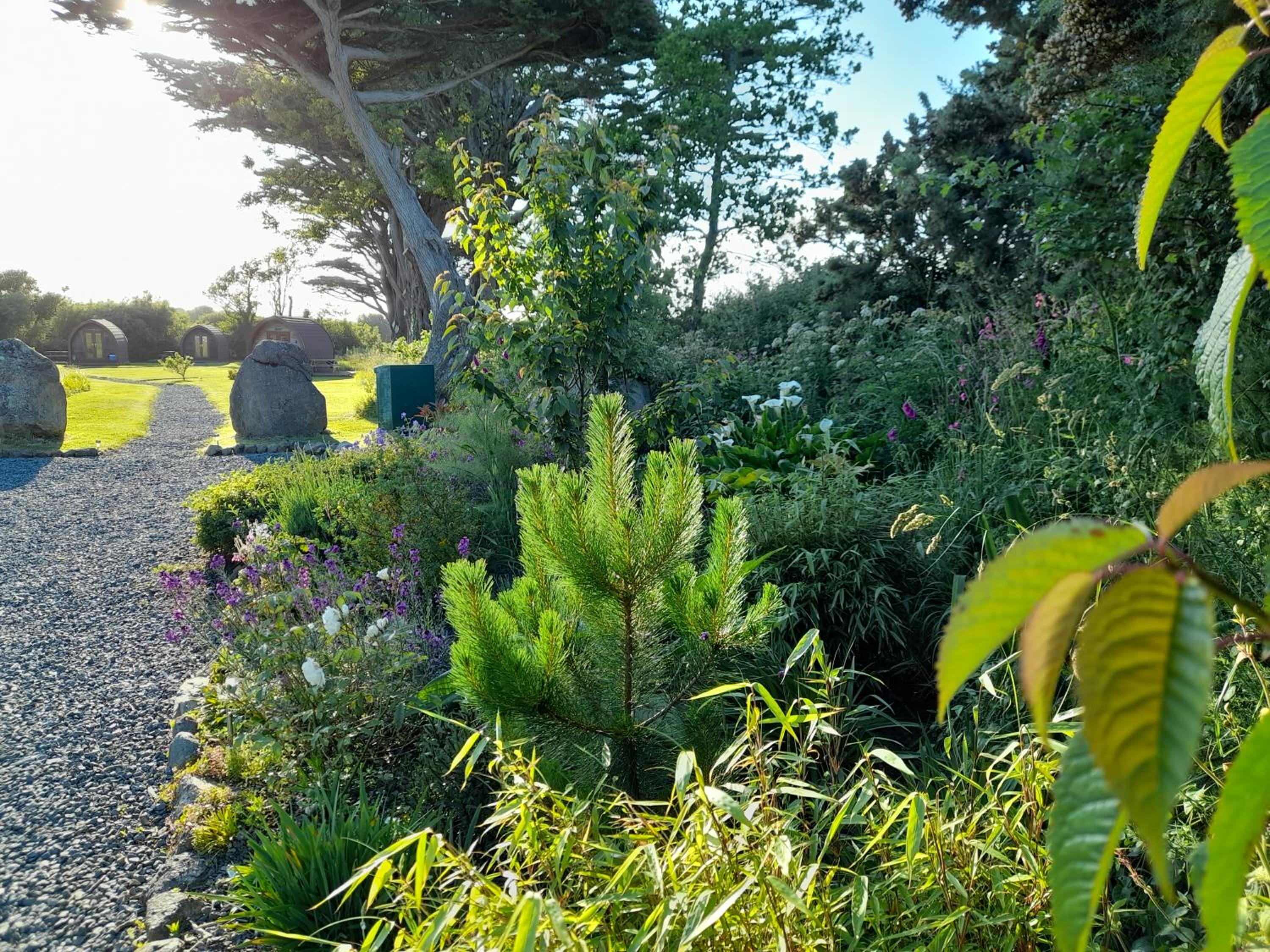 Cedarwood Holidays