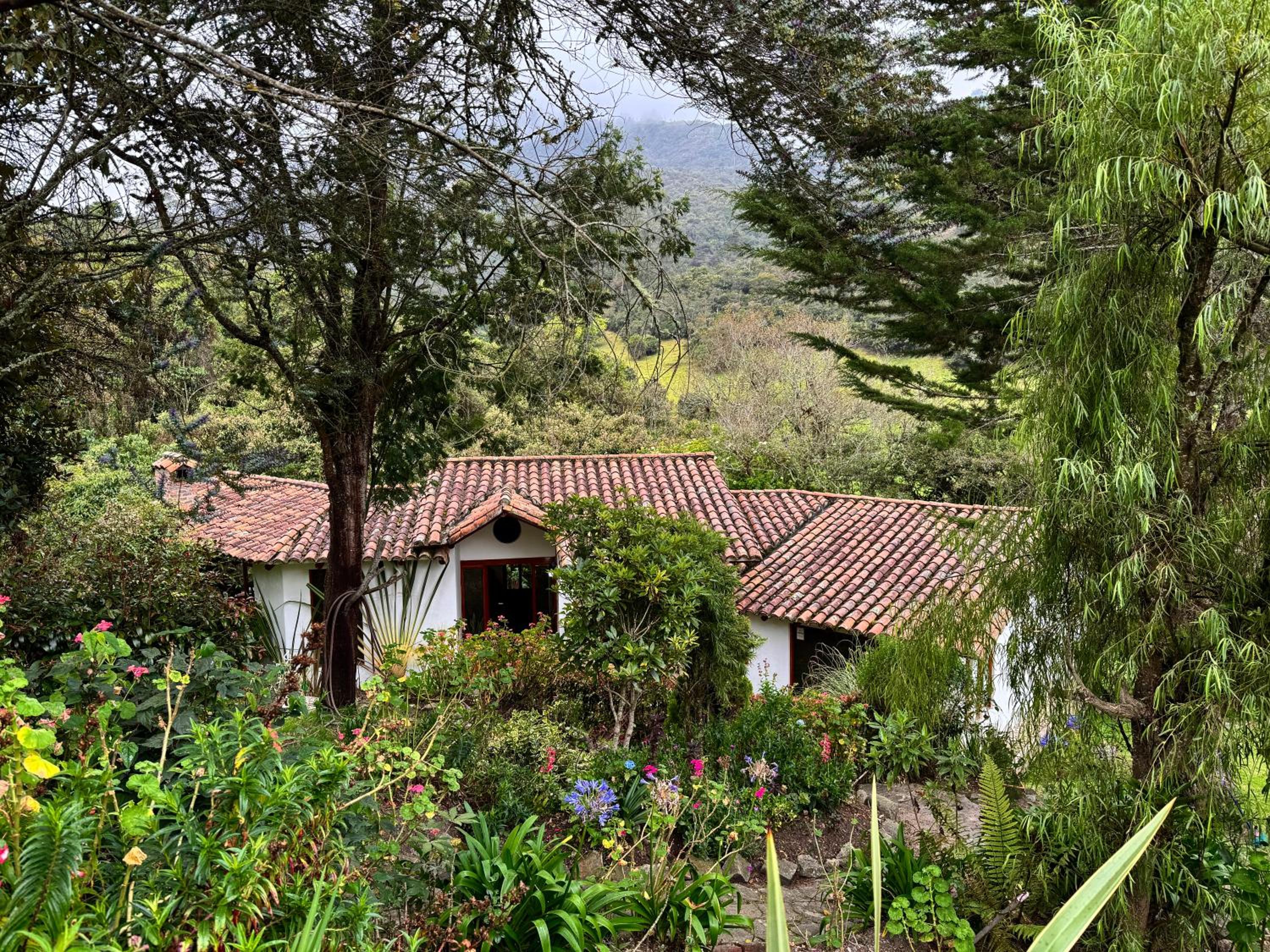 Termales azules La Calera