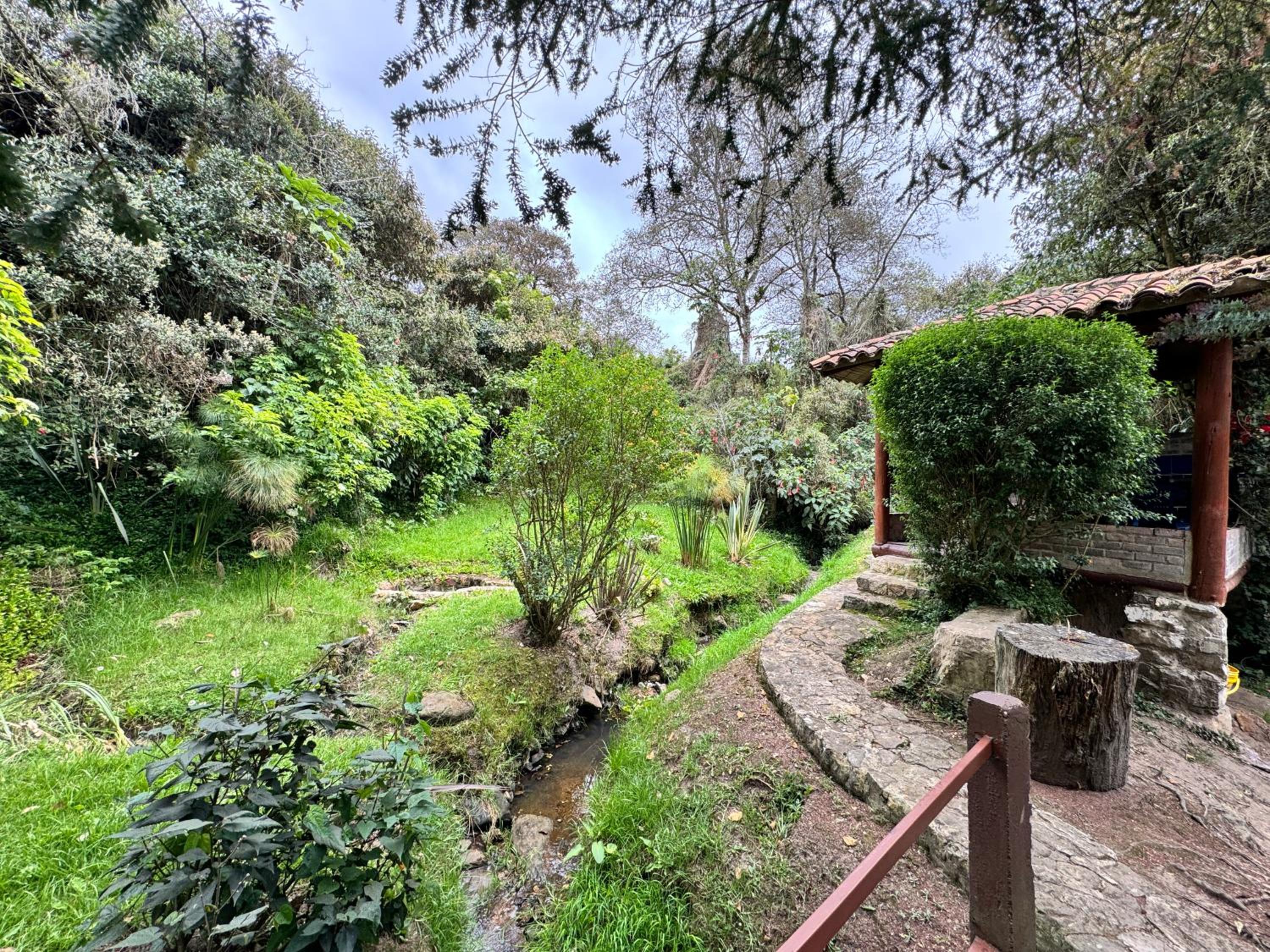 Termales azules La Calera