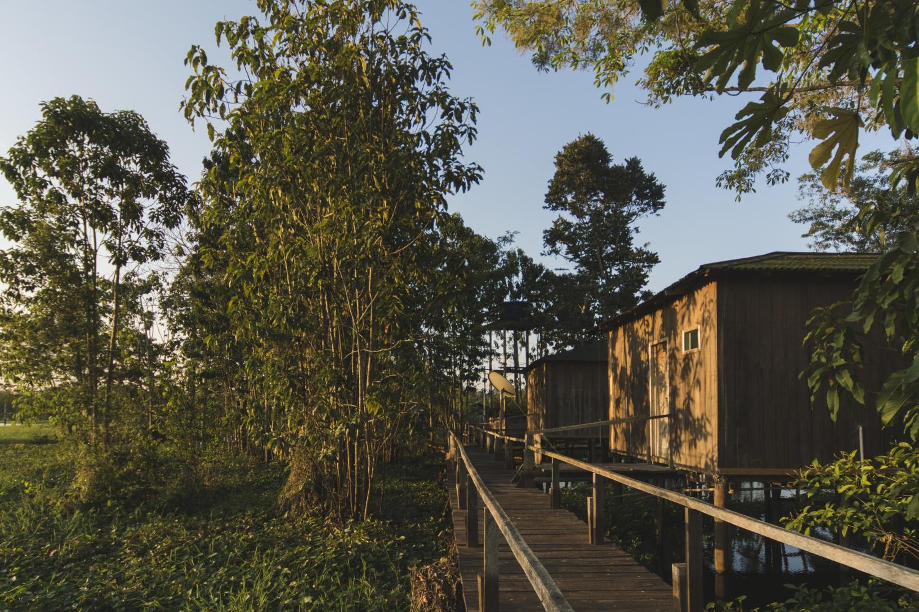 Amazon Arowana Lodge