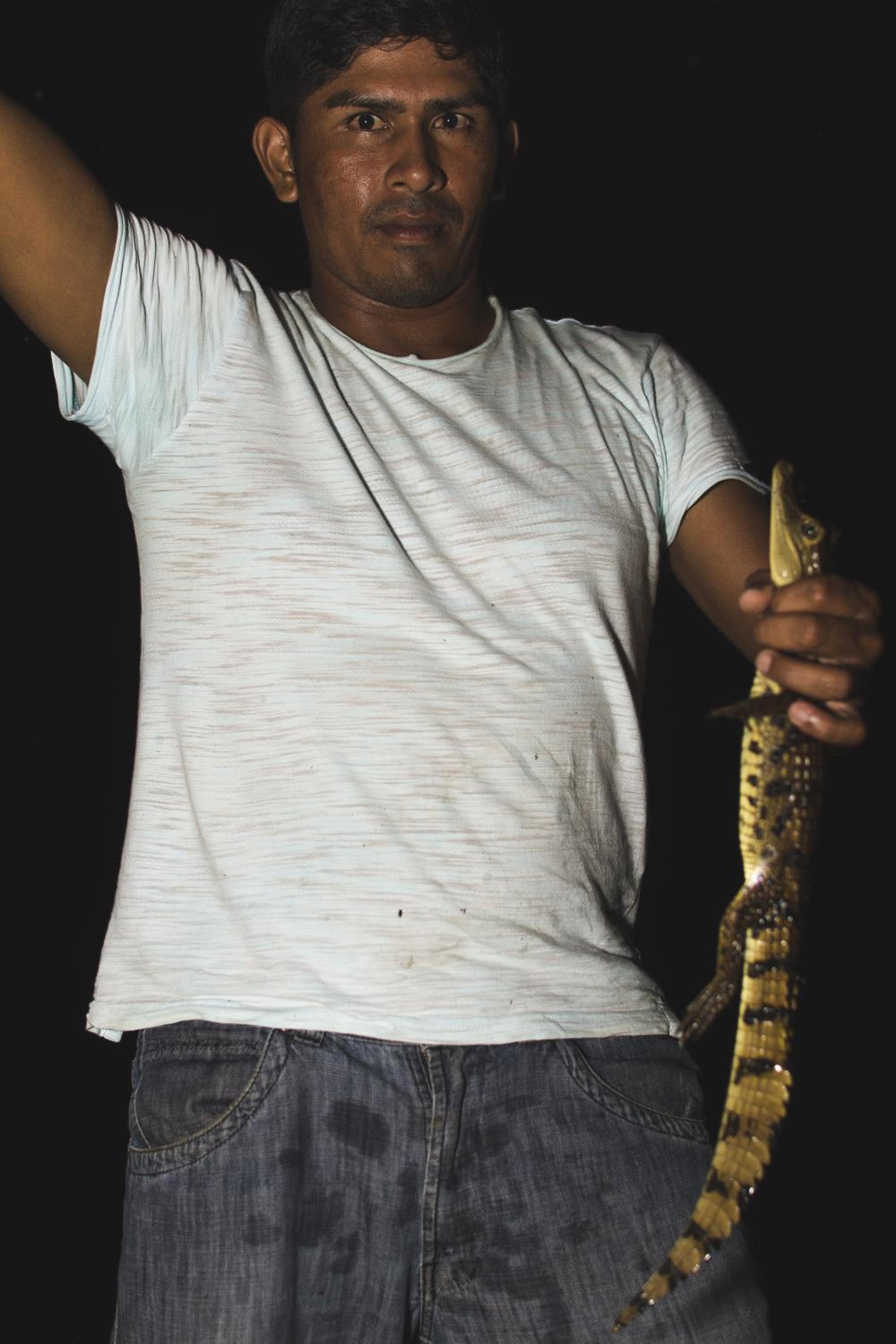 Amazon Arowana Lodge