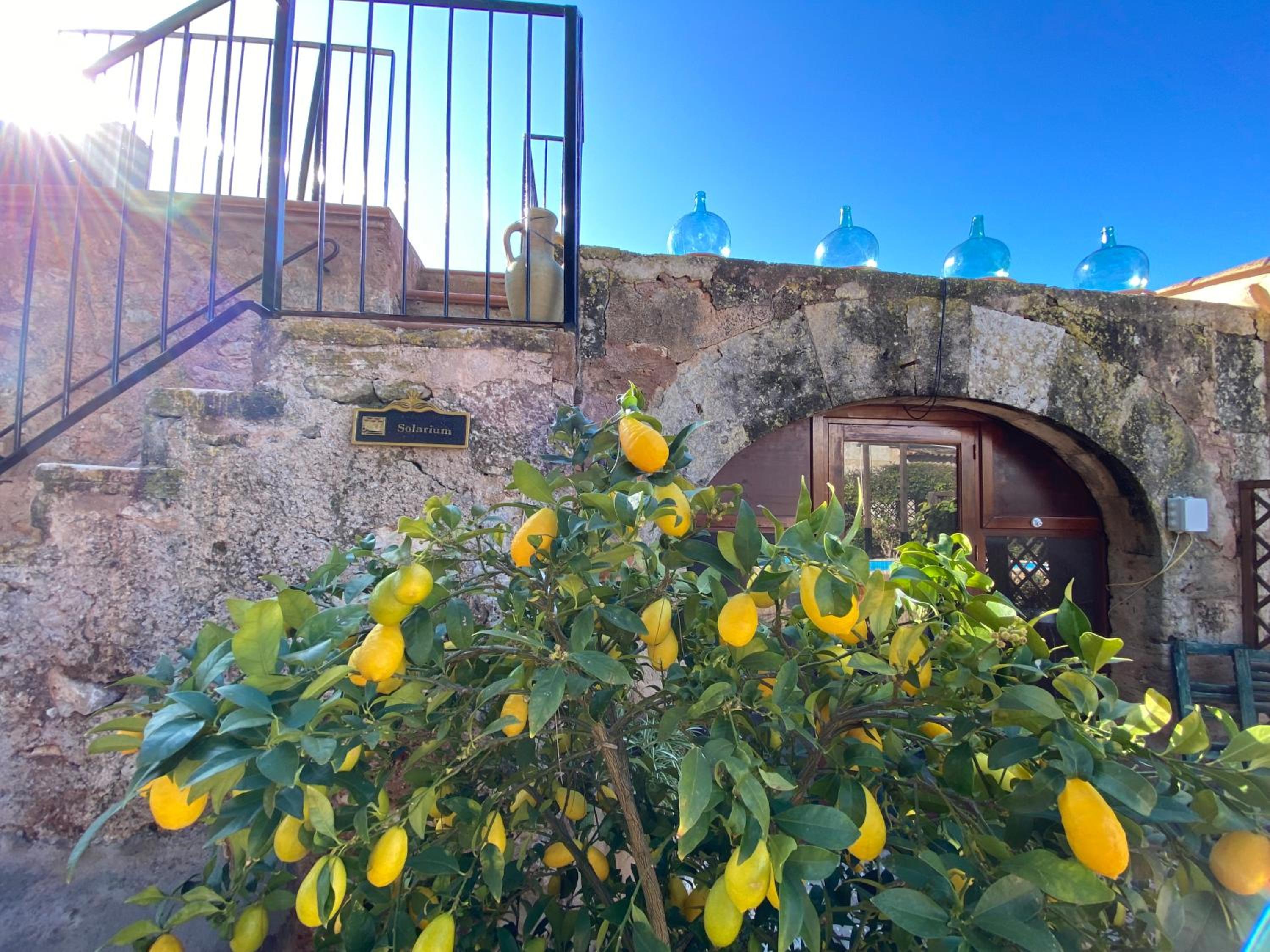 Finca Sa Canova Agroturismo