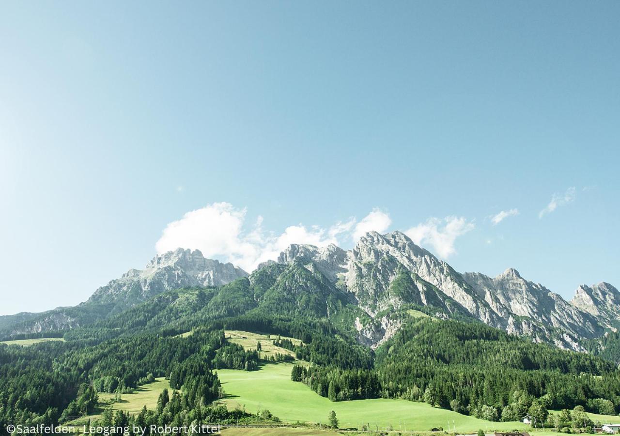 KUCKUCK Leogang by we rent, Saalfelden Leogang Card included