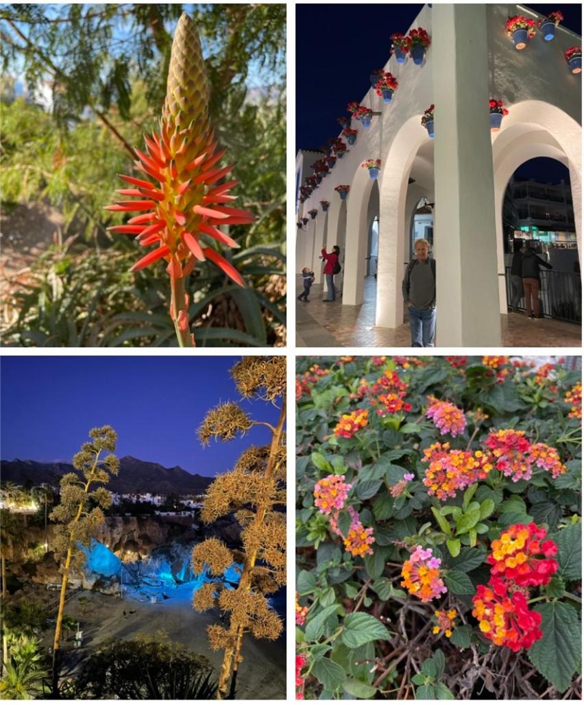 Lovely studio Nerja ground floor